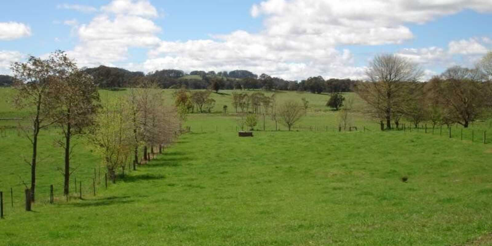 170 Walkers Road Avoca 170 Walkers Road Avoca