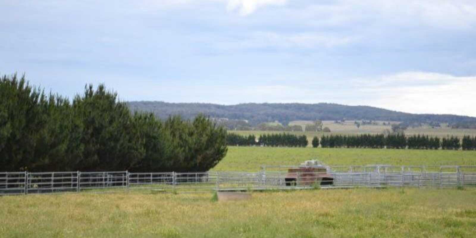 2563 'Summer Dell Pastoral' Lumley Lake Bathurst 2563 'Summer Dell Pastoral' Lumley Lake Bathurst