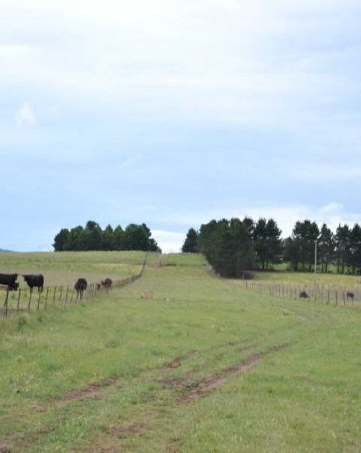 2563 'Summer Dell Pastoral' Lumley Lake Bathurst, Bathurst - Thumbnail 3