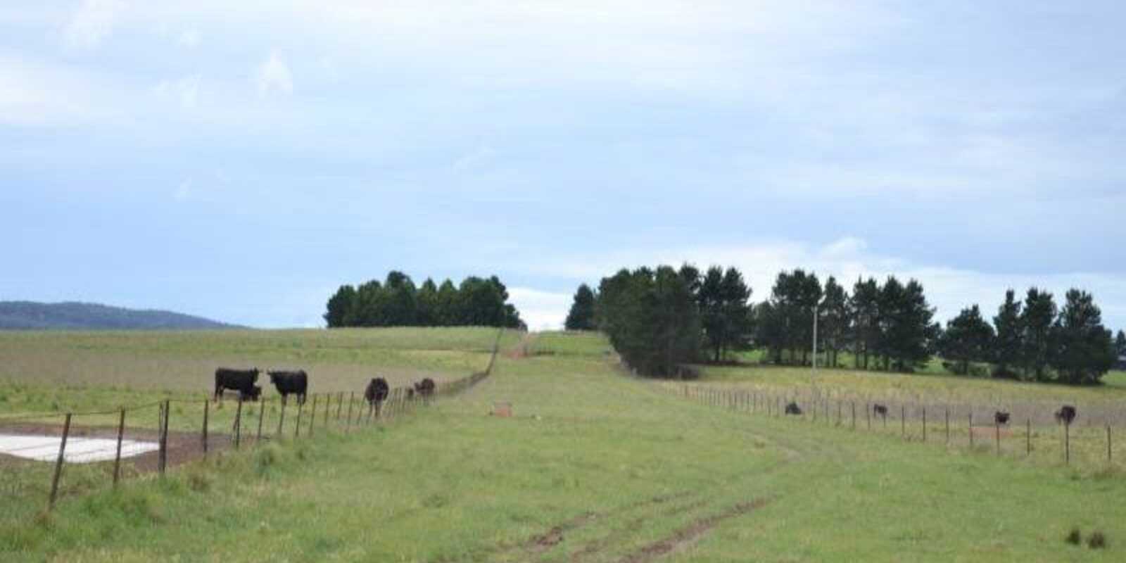 2563 'Summer Dell Pastoral' Lumley Lake Bathurst 2563 'Summer Dell Pastoral' Lumley Lake Bathurst