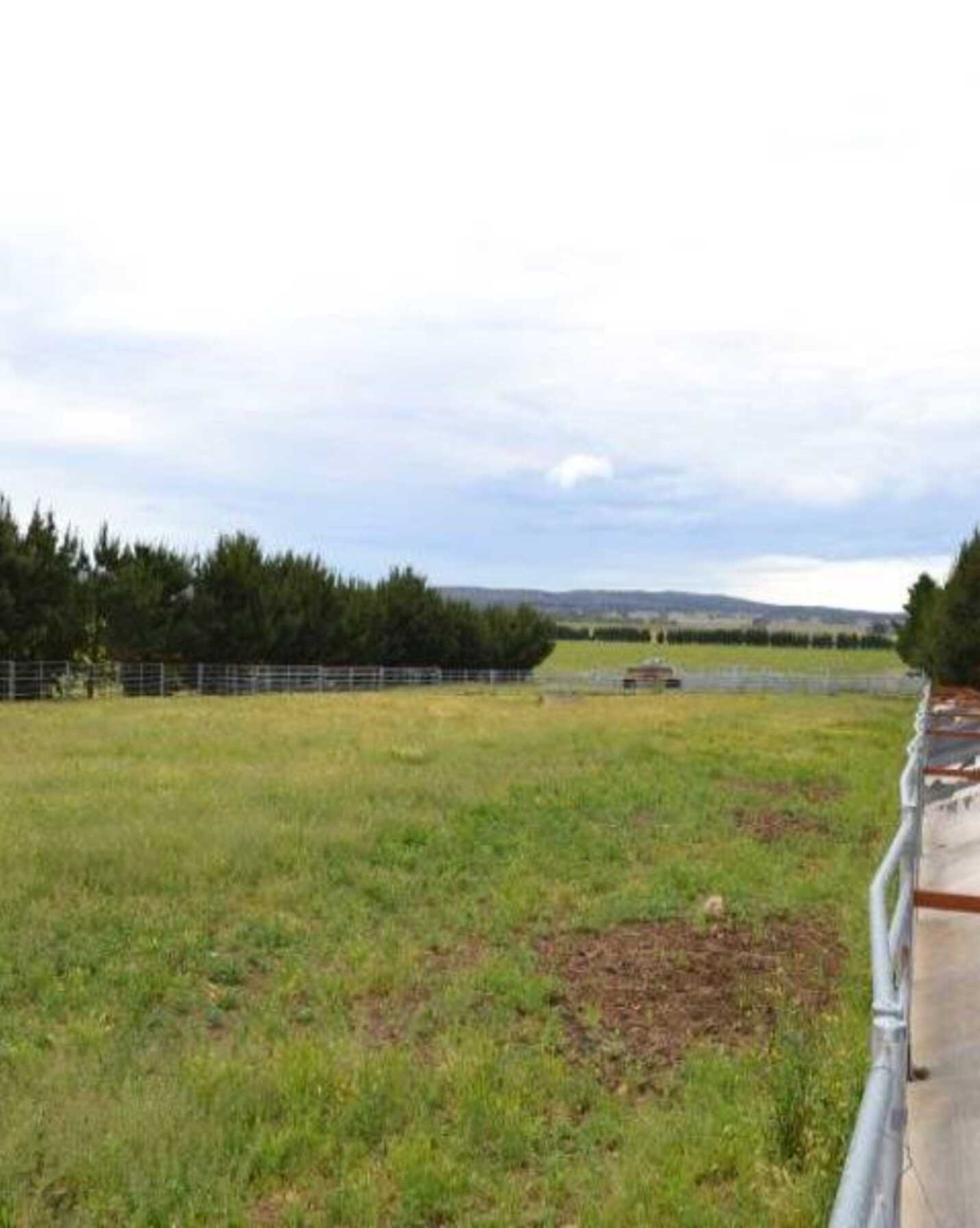 2563 'Summer Dell Pastoral' Lumley Lake Bathurst, Bathurst - Thumbnail 4