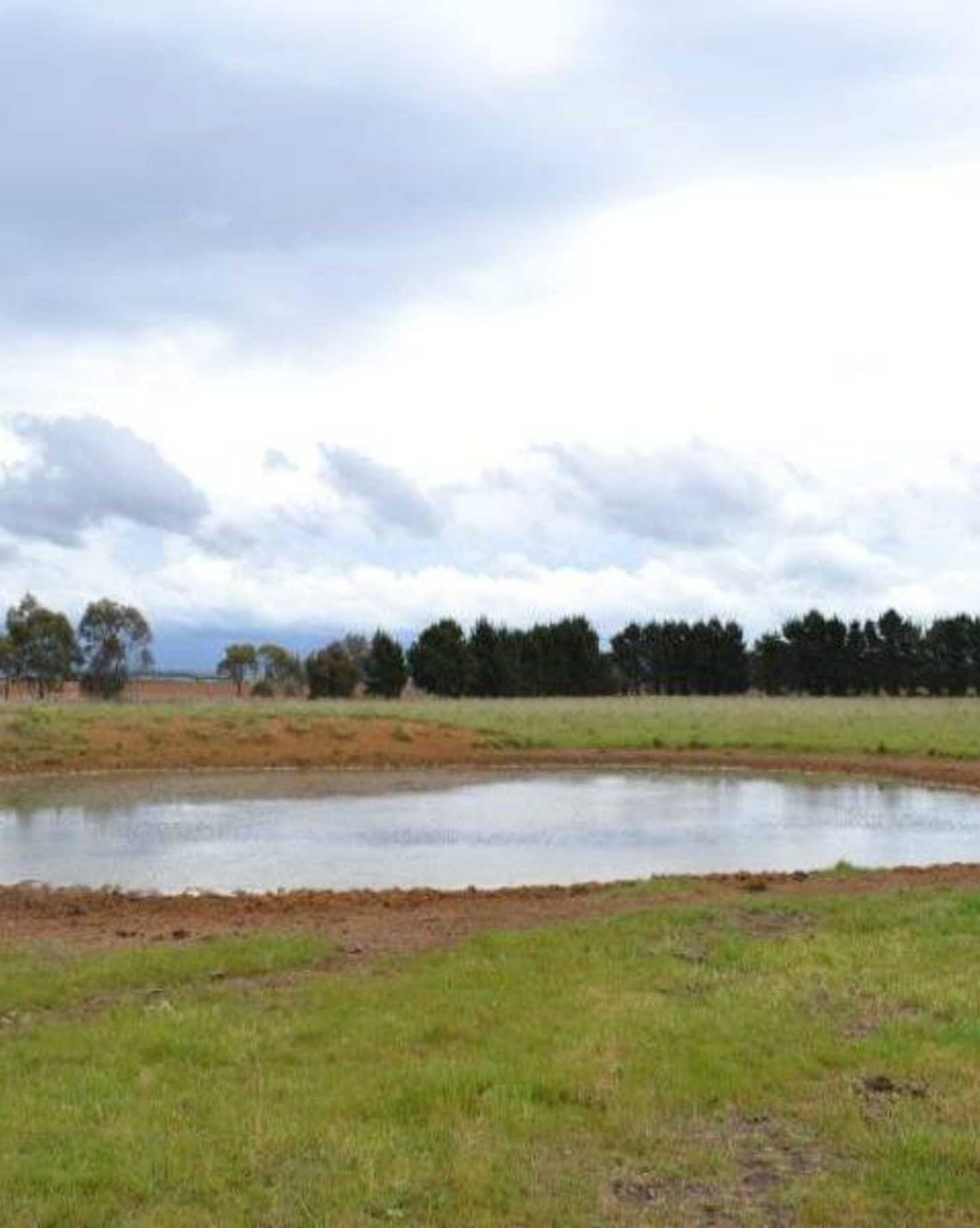 2563 'Summer Dell Pastoral' Lumley Lake Bathurst, Bathurst - Thumbnail 5