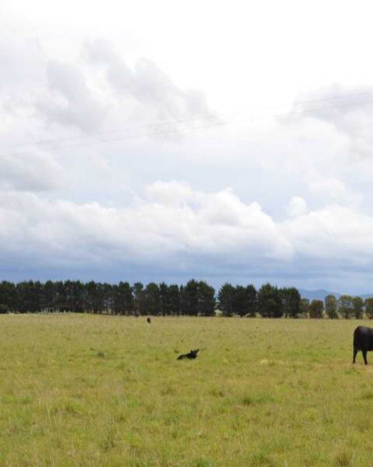 2563 'Summer Dell Pastoral' Lumley Lake Bathurst, Bathurst - Thumbnail 6