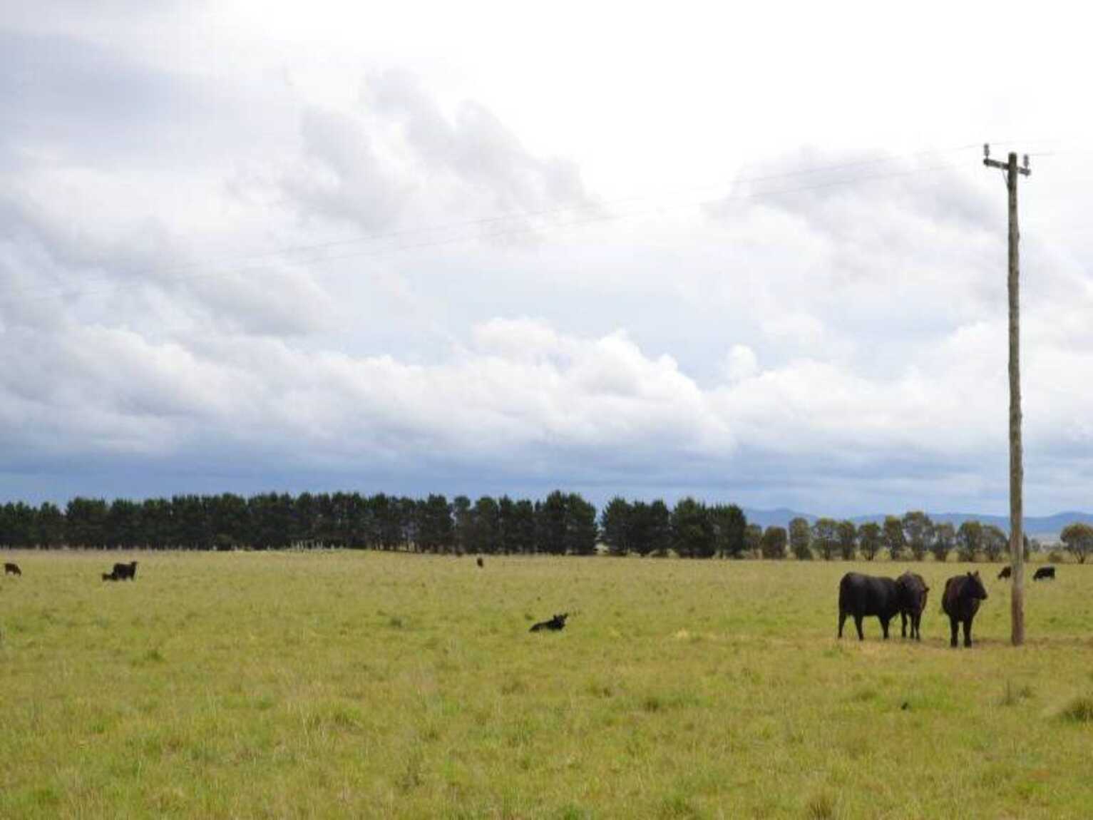 2563 'Summer Dell Pastoral' Lumley Lake Bathurst 2563 'Summer Dell Pastoral' Lumley Lake Bathurst