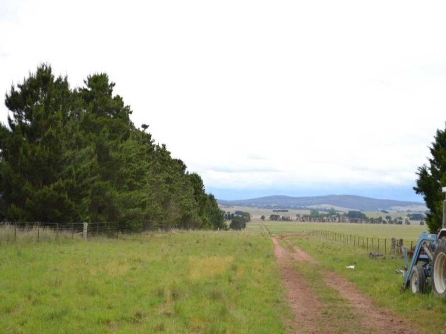 2563 'Summer Dell Pastoral' Lumley Lake Bathurst 2563 'Summer Dell Pastoral' Lumley Lake Bathurst
