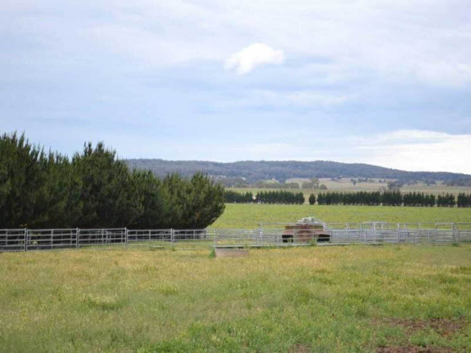 2563 'Summer Dell Pastoral' Lumley Lake Bathurst 2563 'Summer Dell Pastoral' Lumley Lake Bathurst