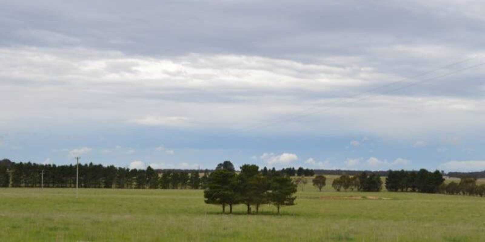 2563 'Summer Dell Pastoral' Lumley Lake Bathurst 2563 'Summer Dell Pastoral' Lumley Lake Bathurst