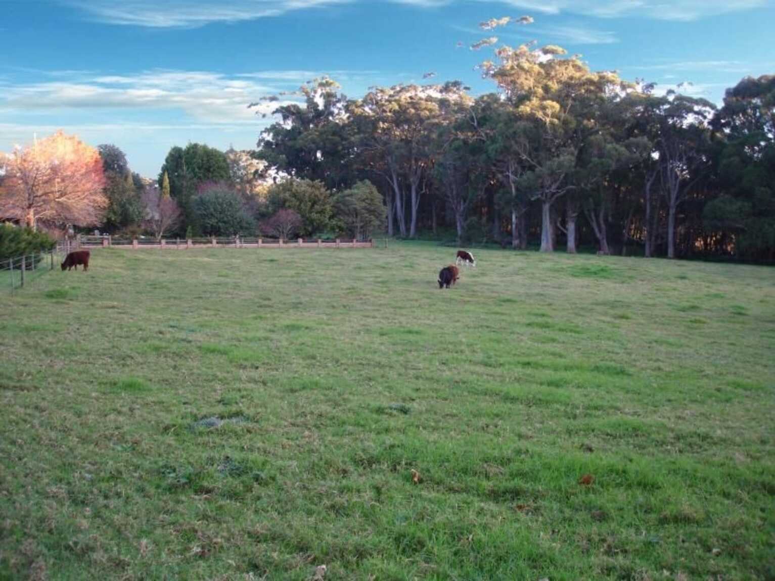 Laurel Hill Myra Vale Wildes Meadow Laurel Hill Myra Vale Wildes Meadow
