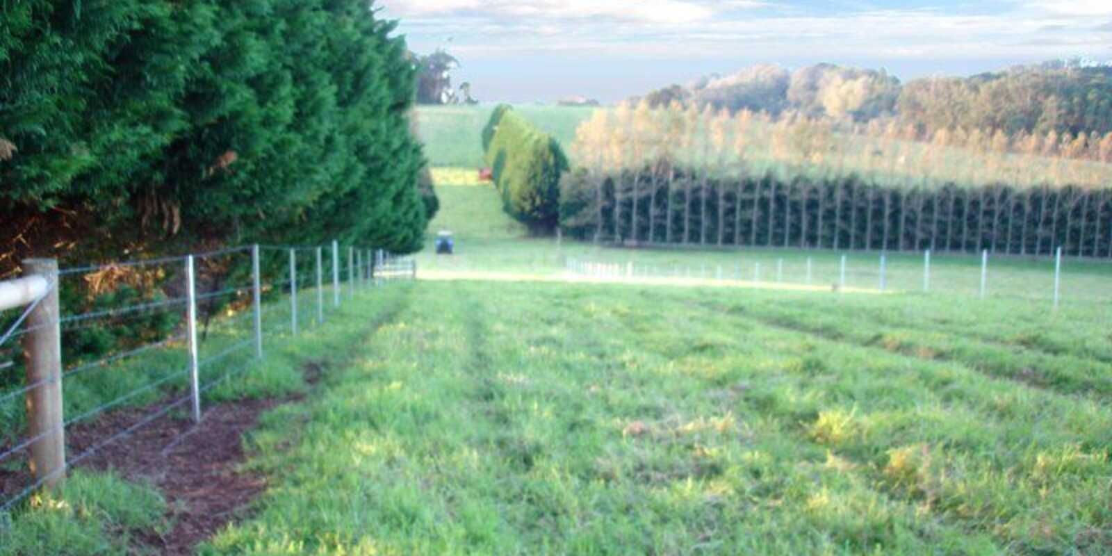 Laurel Hill Myra Vale Wildes Meadow Laurel Hill Myra Vale Wildes Meadow