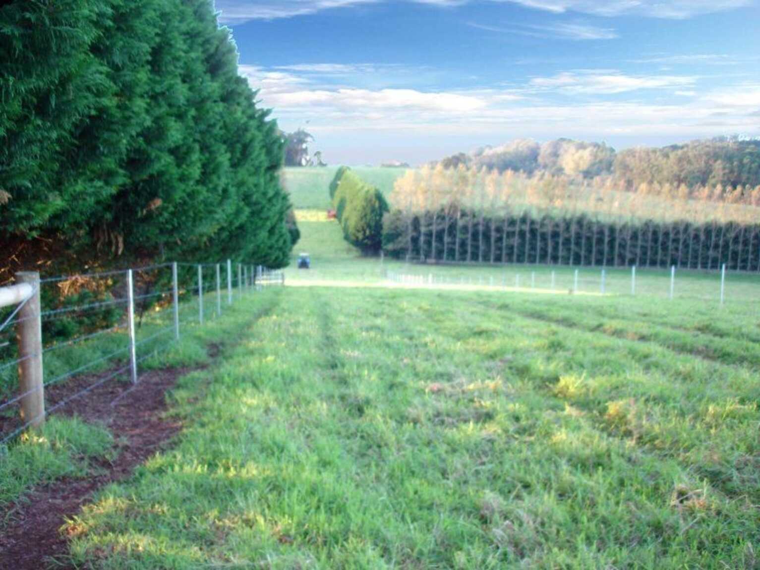 Laurel Hill Myra Vale Wildes Meadow Laurel Hill Myra Vale Wildes Meadow