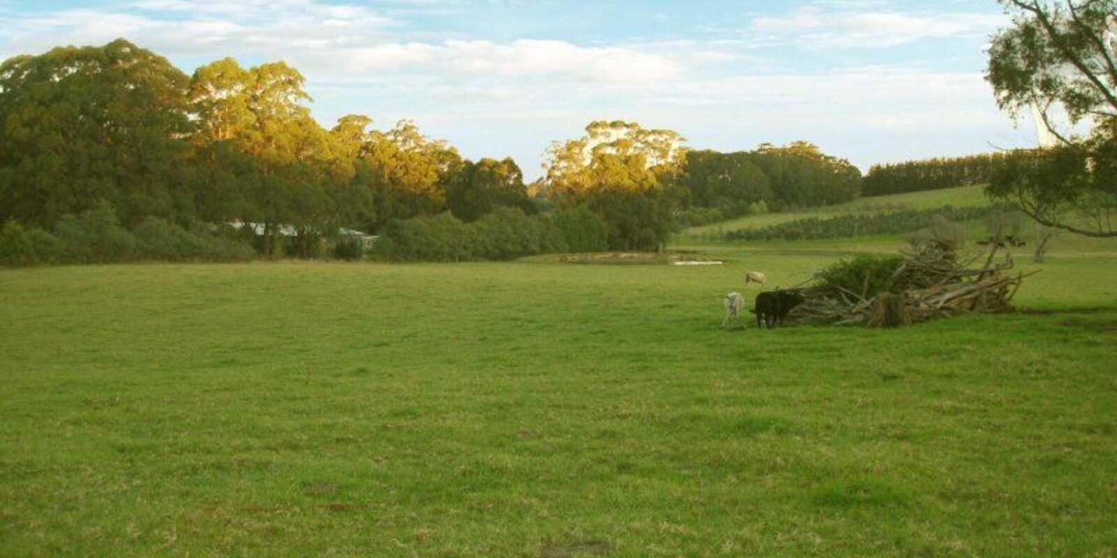 Laurel Hill Myra Vale Wildes Meadow Laurel Hill Myra Vale Wildes Meadow