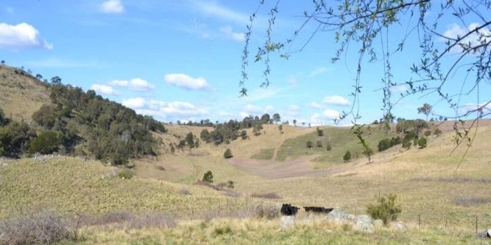 116 Pheasant Gully Road Bullio 116 Pheasant Gully Road Bullio