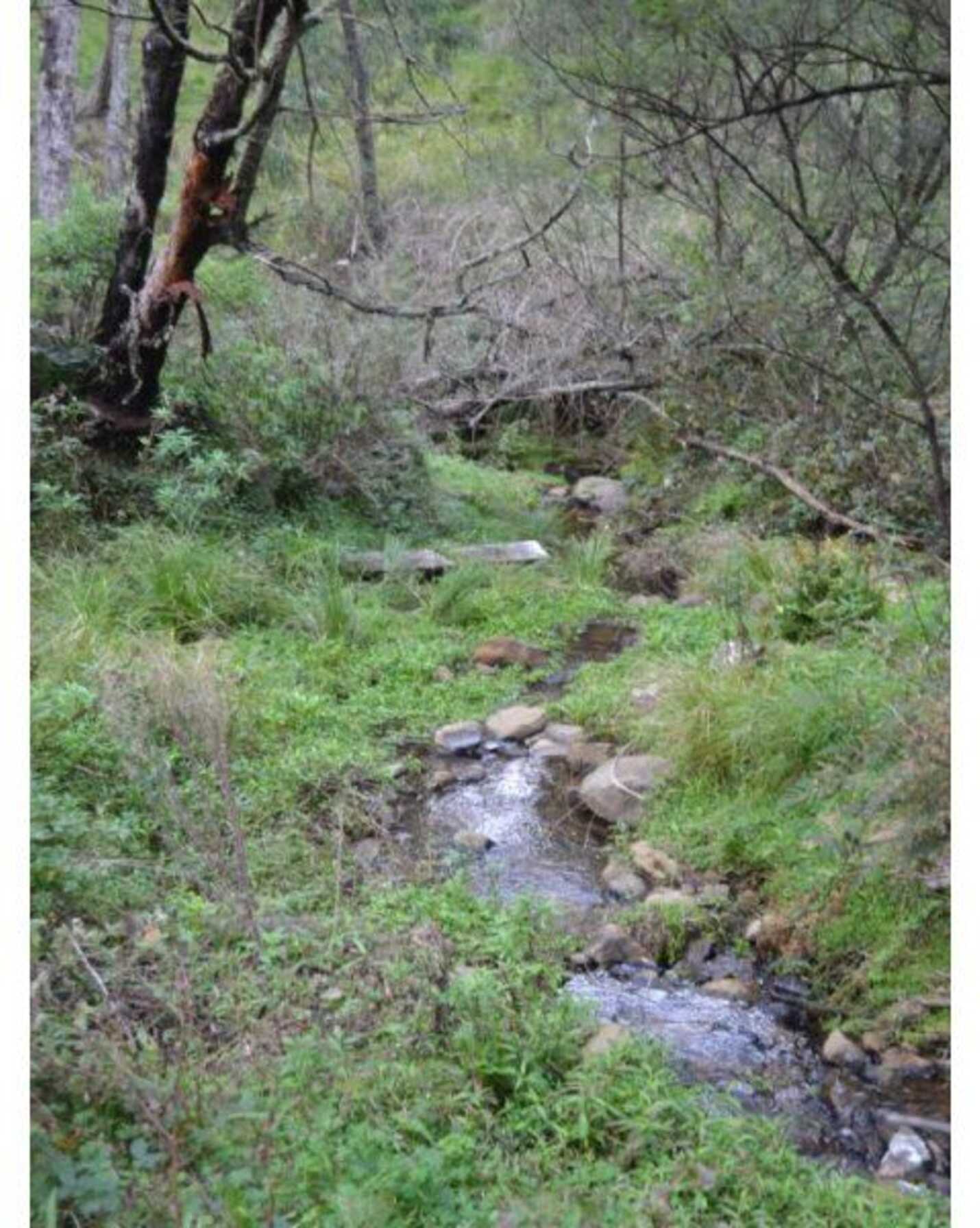 81 Burkitt Road Tallong, Tallong - Thumbnail 5