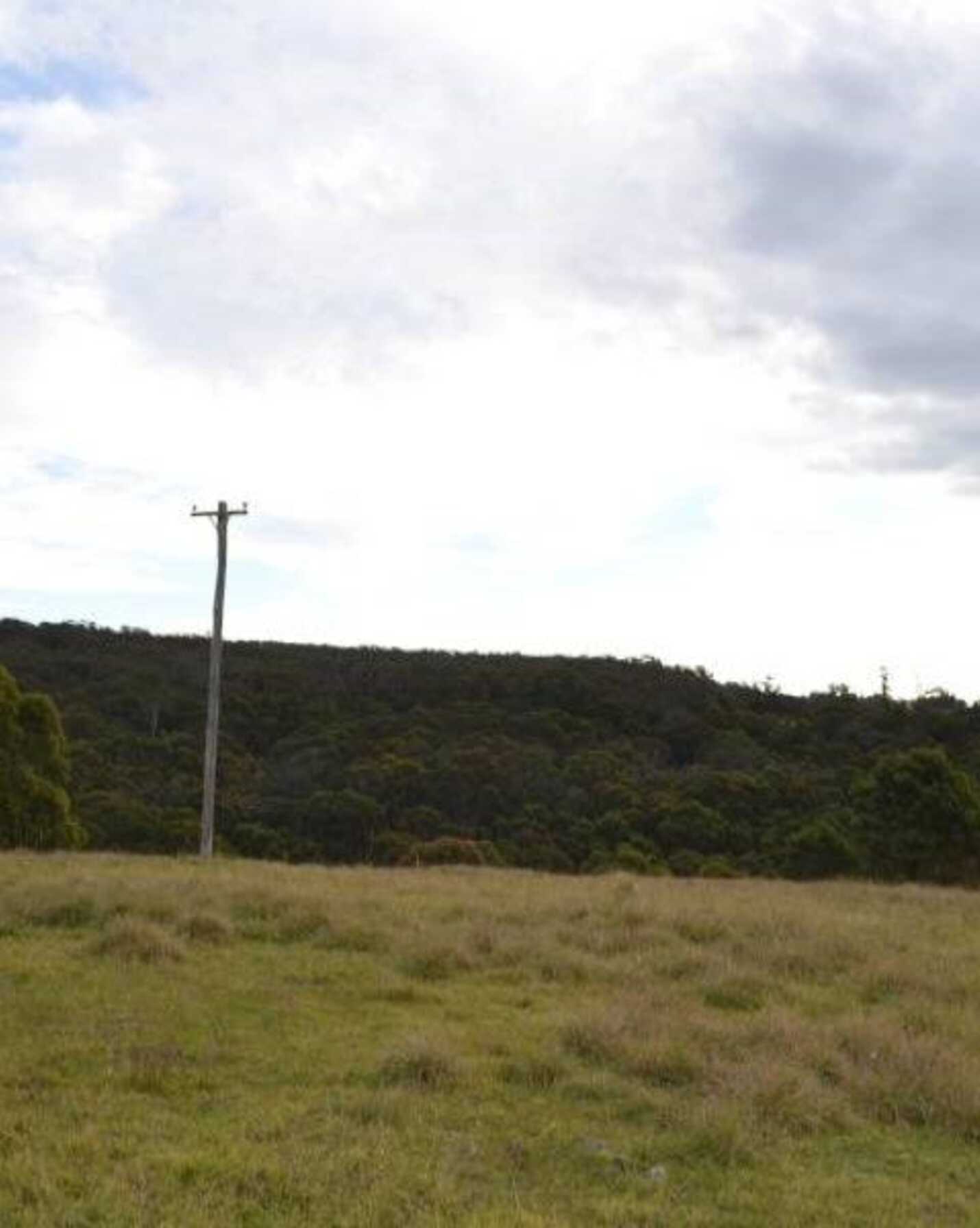 81 Burkitt Road Tallong, Tallong - Thumbnail 6