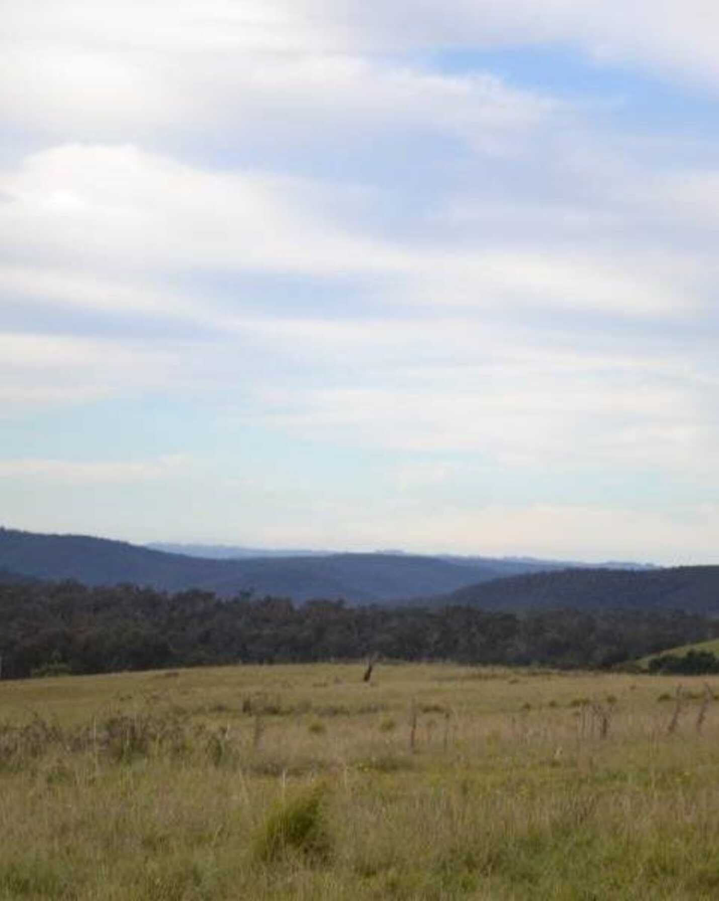 81 Burkitt Road Tallong, Tallong - Thumbnail 7