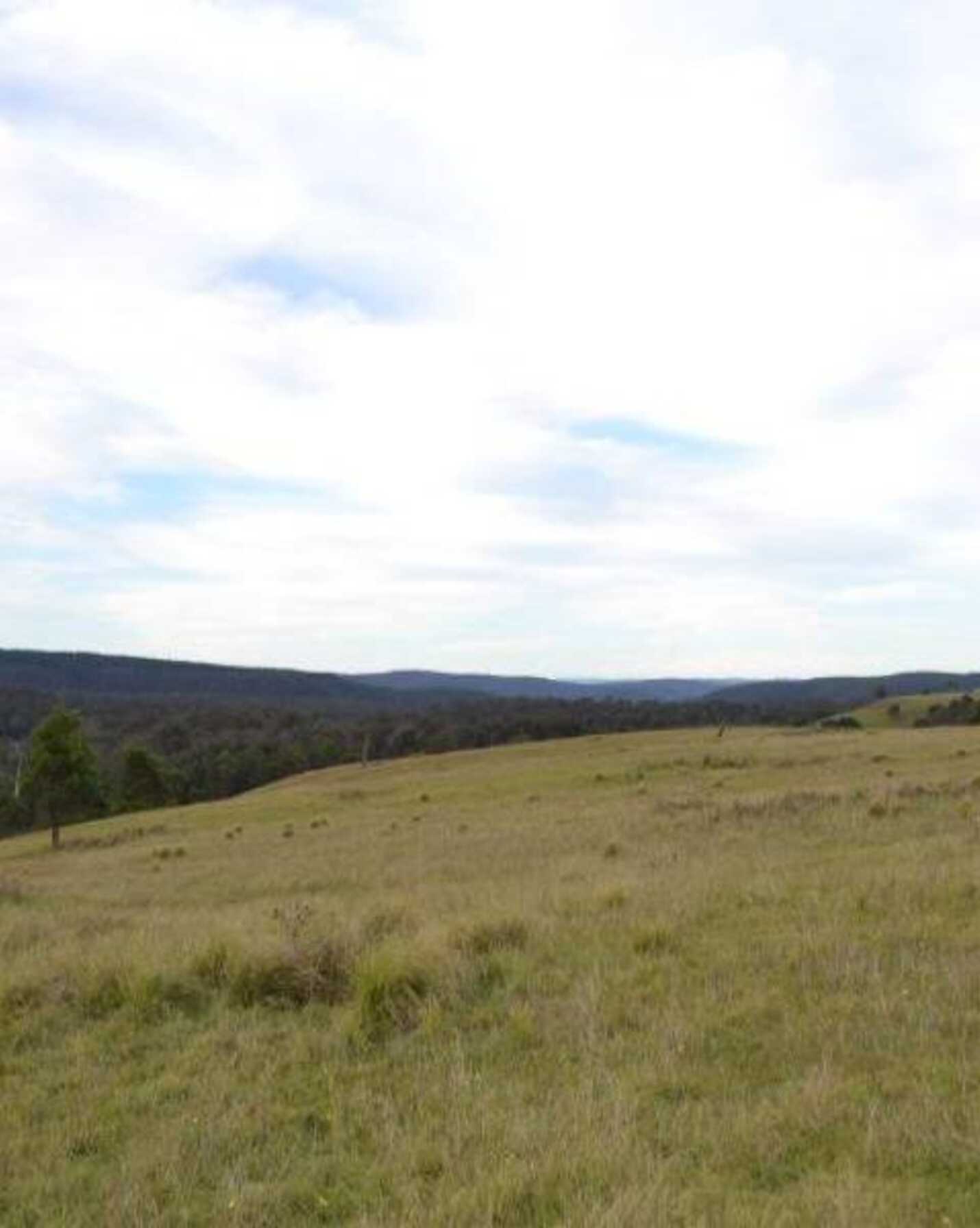 81 Burkitt Road Tallong, Tallong - Thumbnail 8