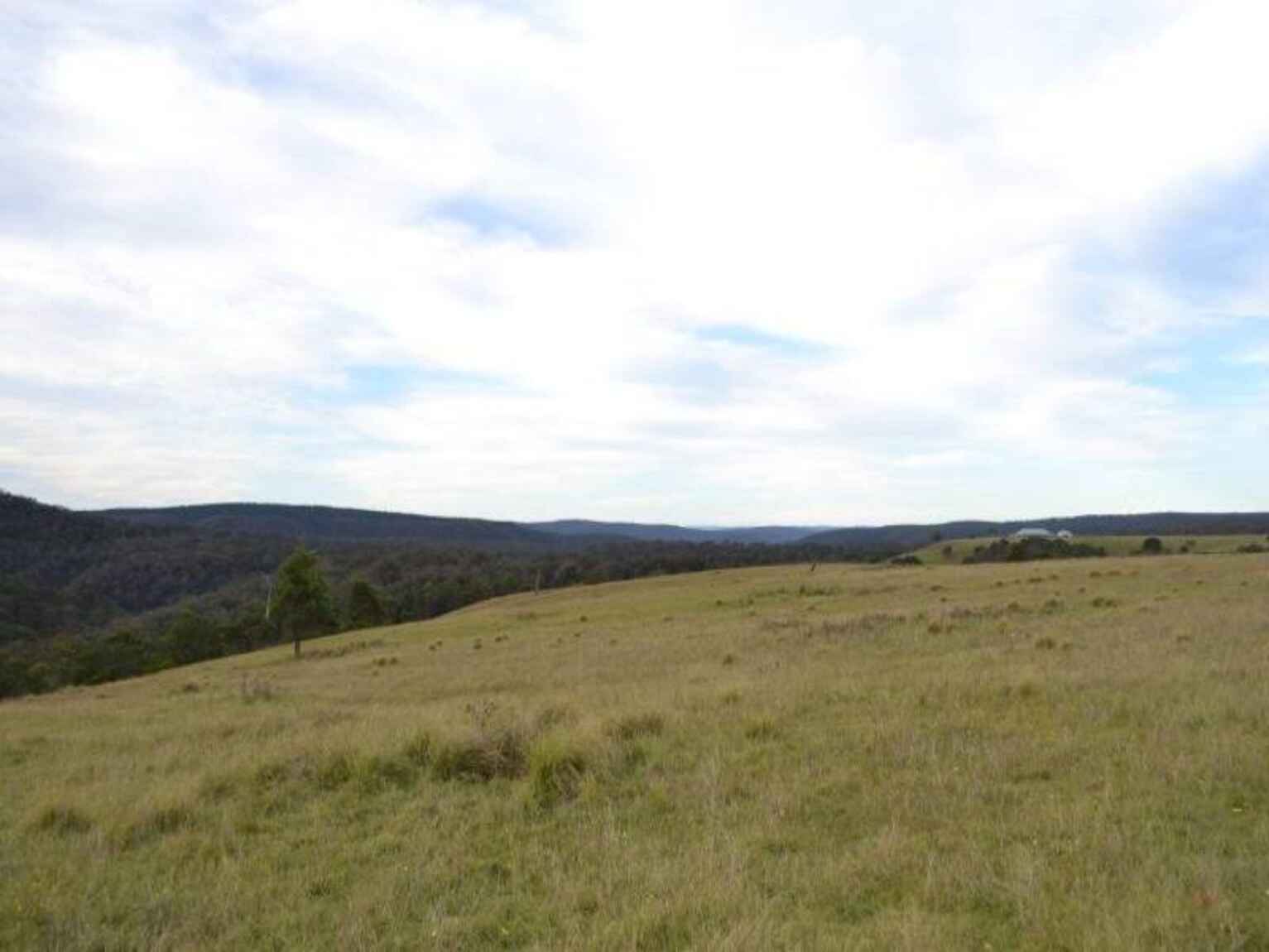81 Burkitt Road Tallong 81 Burkitt Road Tallong