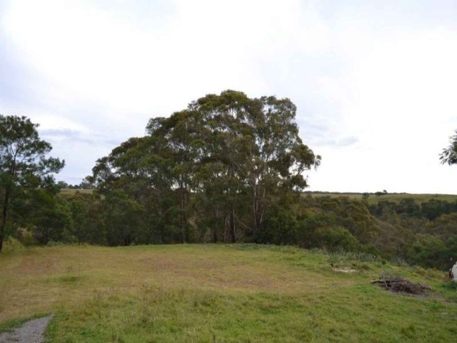 81 Burkitt Road Tallong 81 Burkitt Road Tallong