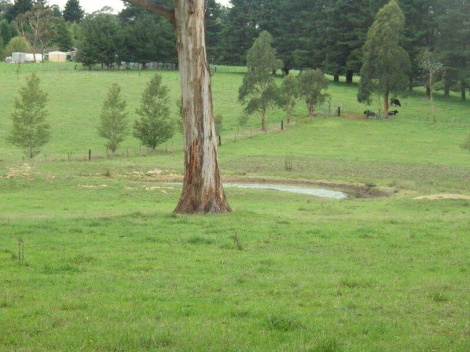 435 Nowra Road Moss Vale 435 Nowra Road Moss Vale