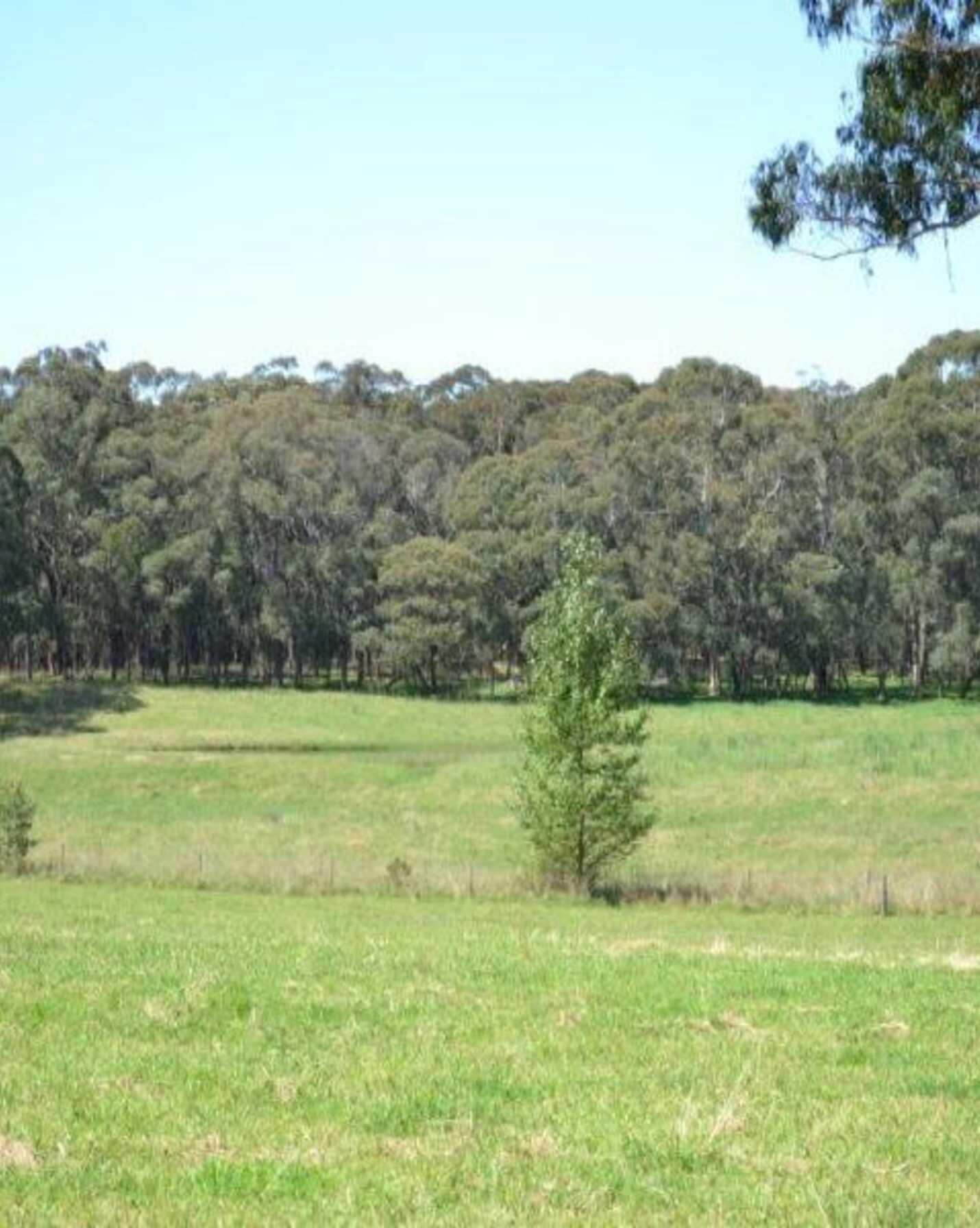 435 Nowra Road Moss Vale, Vale - Thumbnail 2