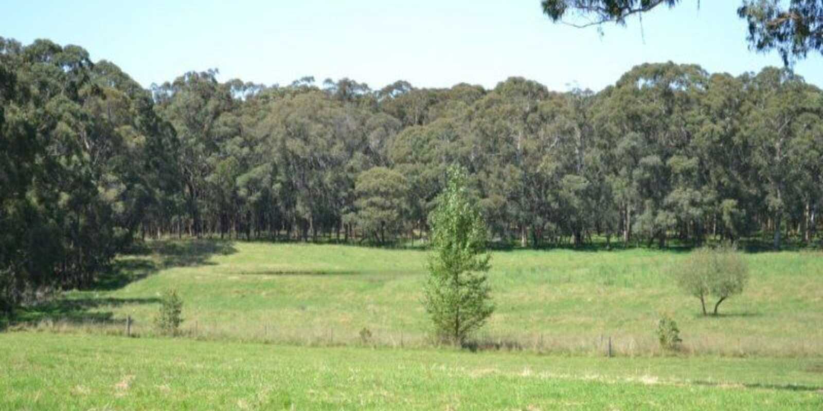 435 Nowra Road Moss Vale 435 Nowra Road Moss Vale