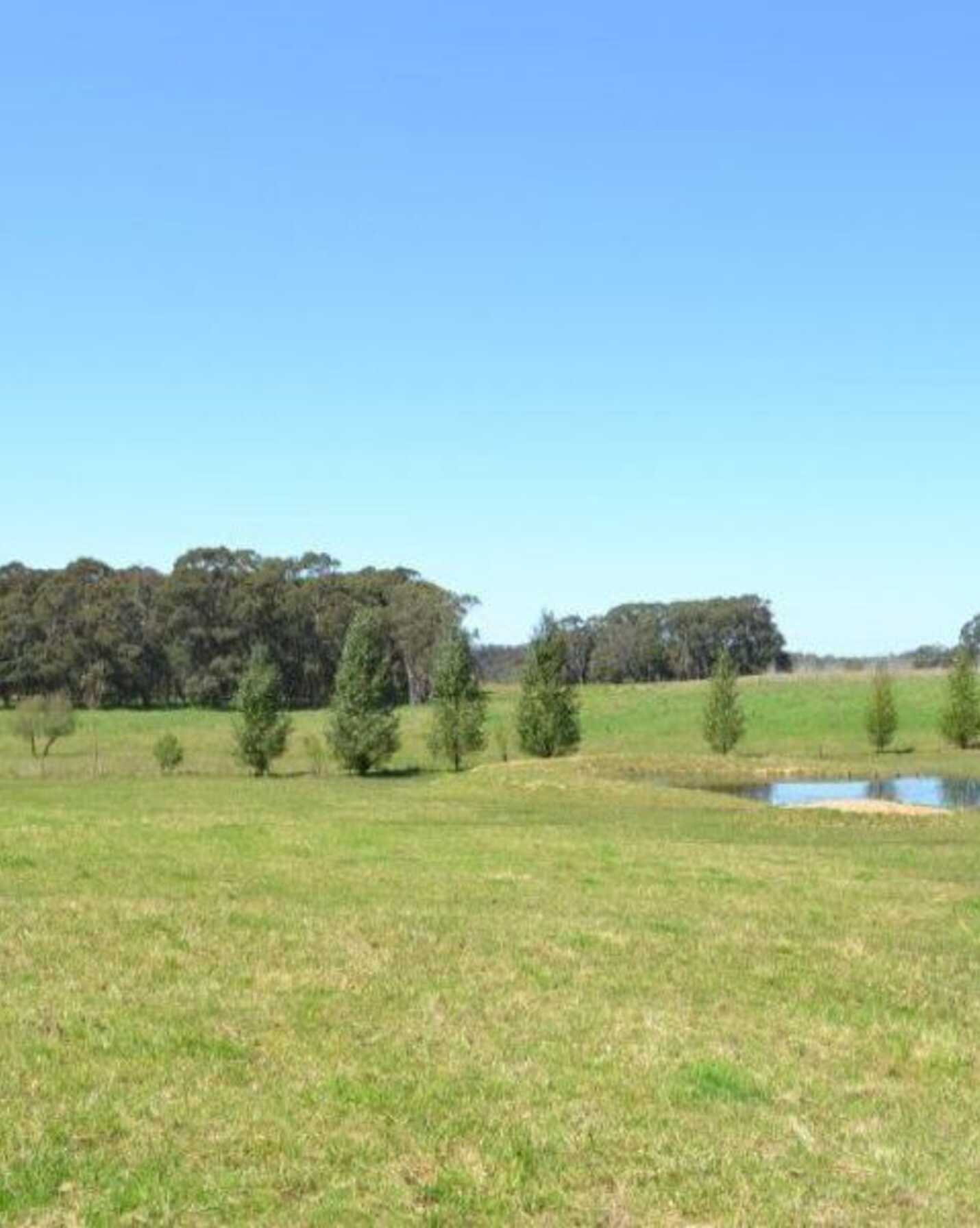 435 Nowra Road Moss Vale, Vale - Thumbnail 3