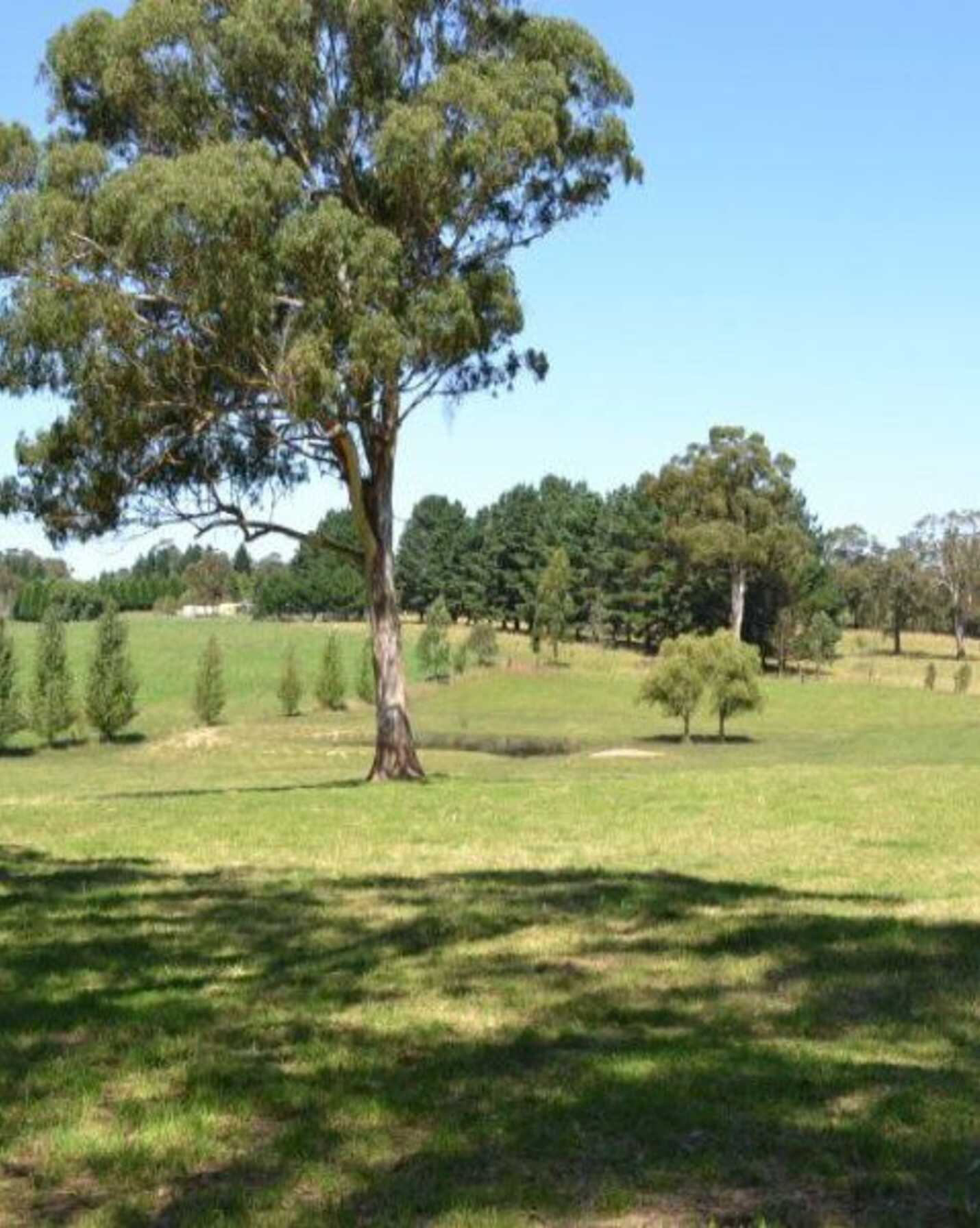 435 Nowra Road Moss Vale, Vale - Thumbnail 5