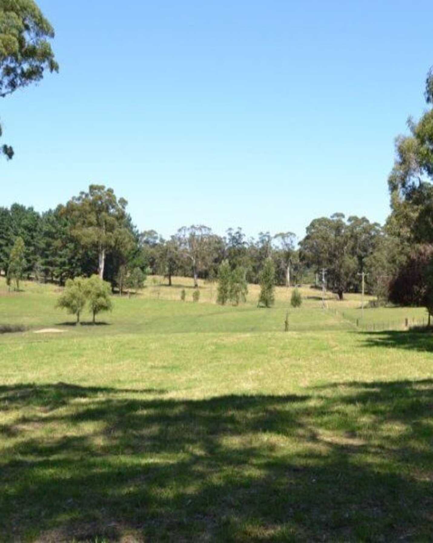 435 Nowra Road Moss Vale, Vale - Thumbnail 6
