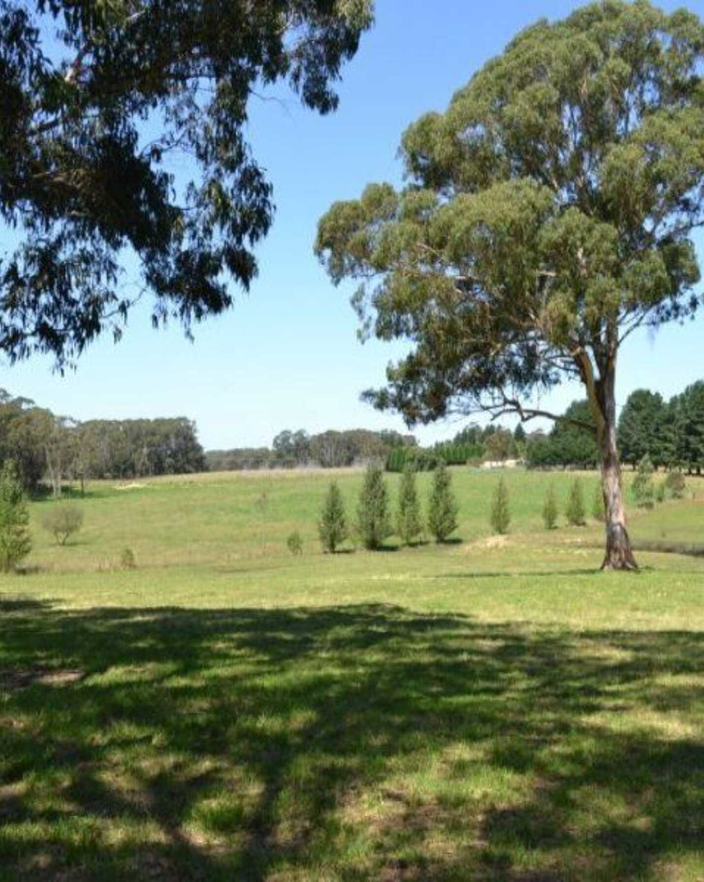 435 Nowra Road Moss Vale, Vale - Thumbnail 7