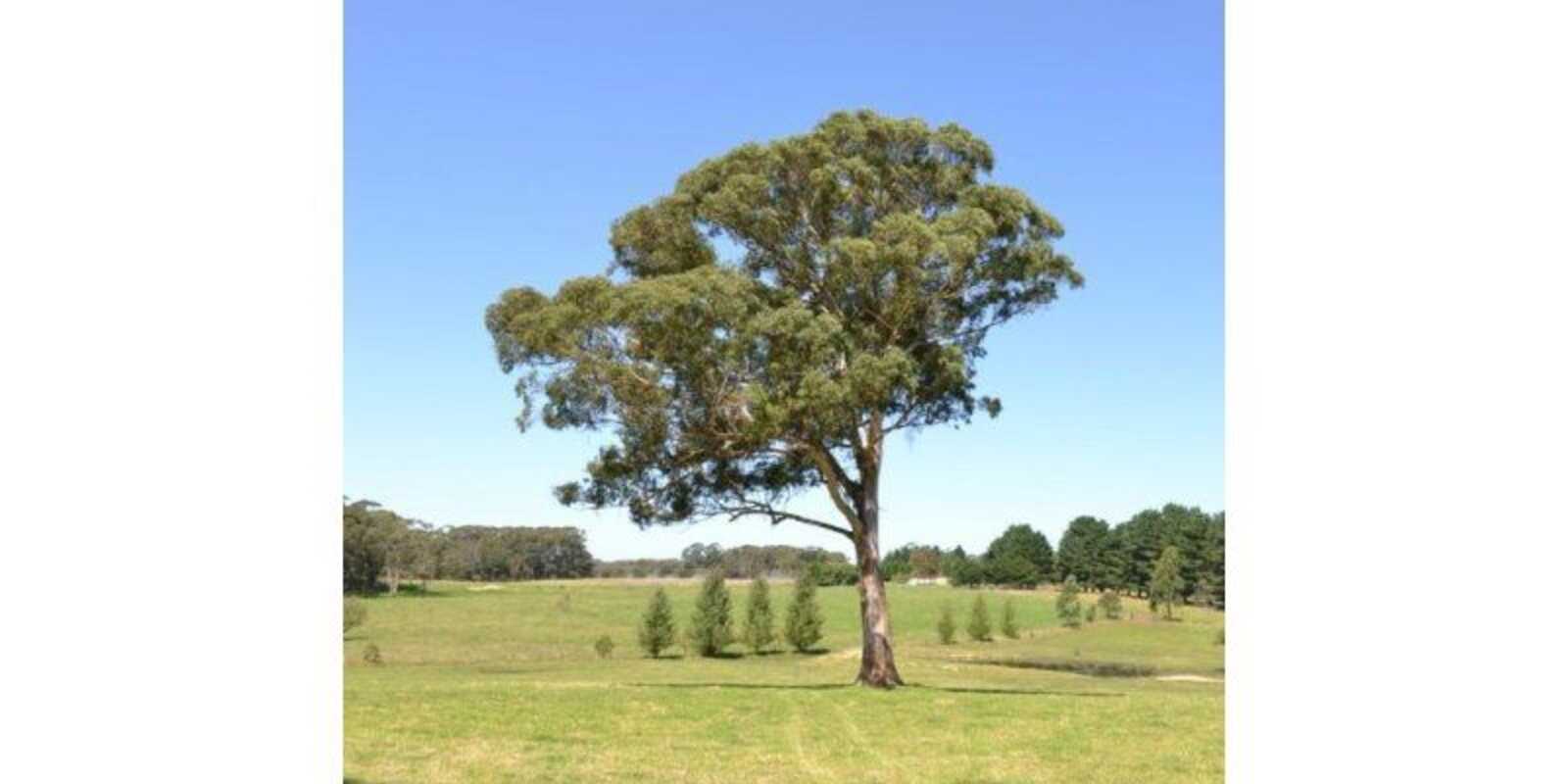 435 Nowra Road Moss Vale 435 Nowra Road Moss Vale