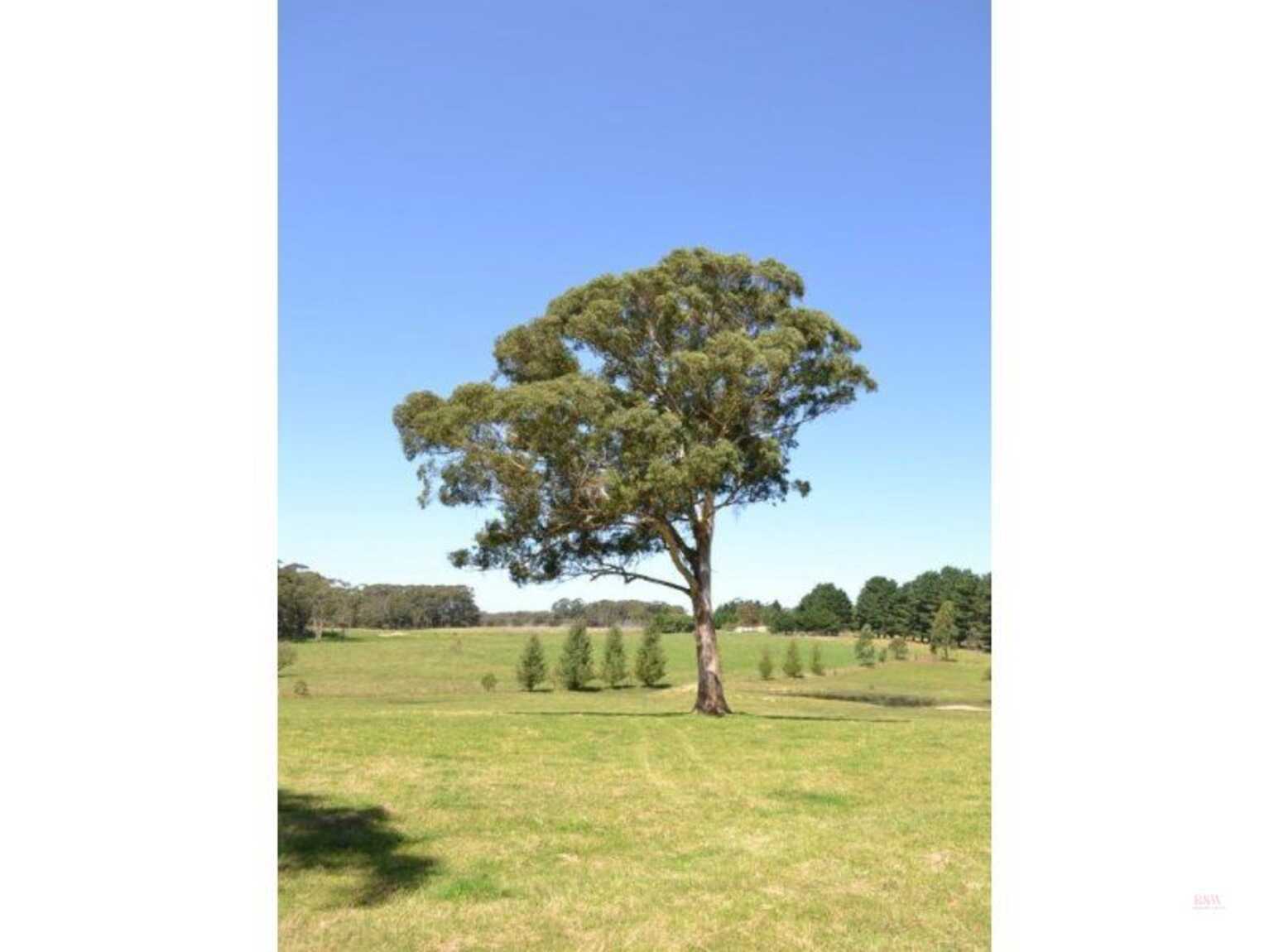 435 Nowra Road Moss Vale 435 Nowra Road Moss Vale