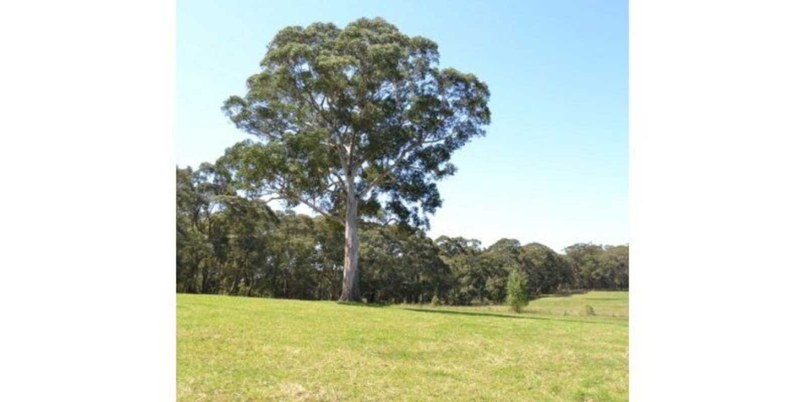 435 Nowra Road Moss Vale 435 Nowra Road Moss Vale