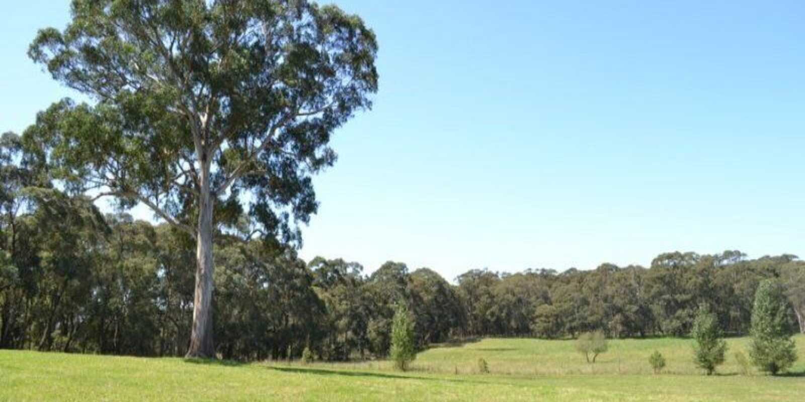 435 Nowra Road Moss Vale 435 Nowra Road Moss Vale