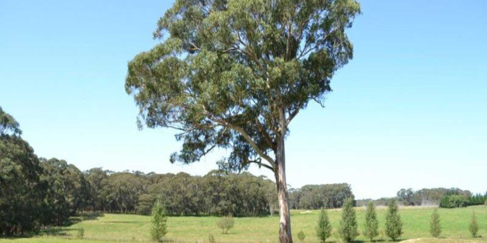 435 Nowra Road Moss Vale 435 Nowra Road Moss Vale