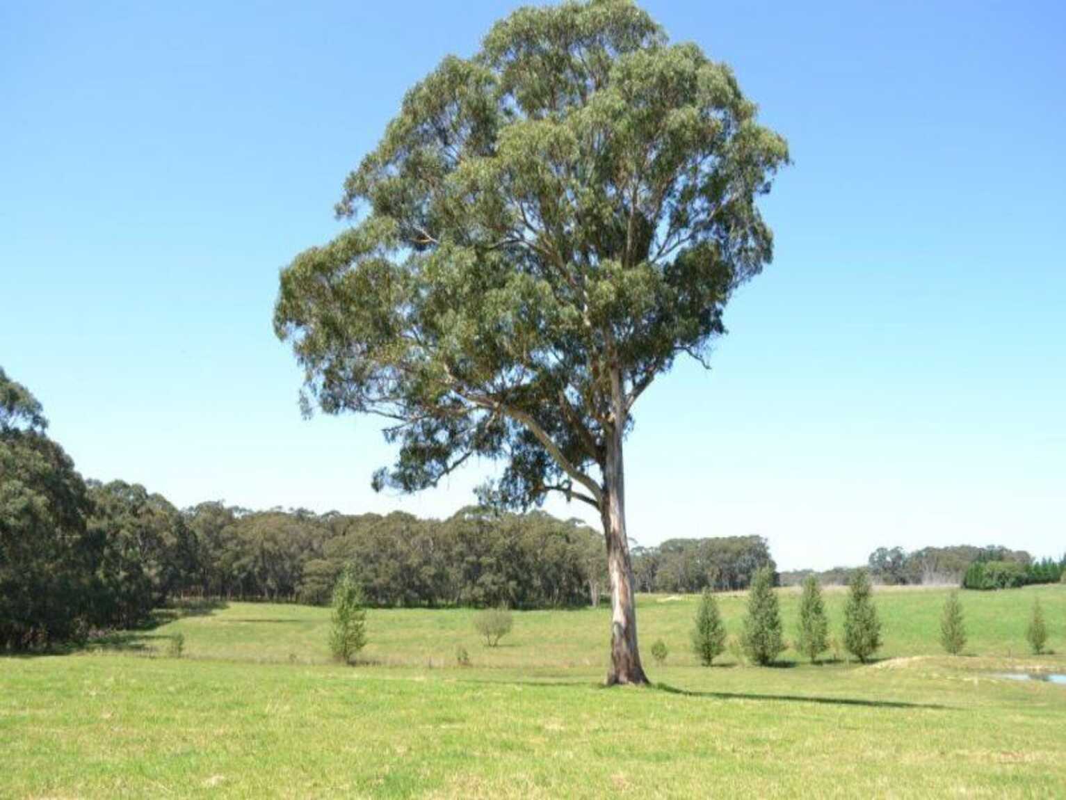 435 Nowra Road Moss Vale 435 Nowra Road Moss Vale