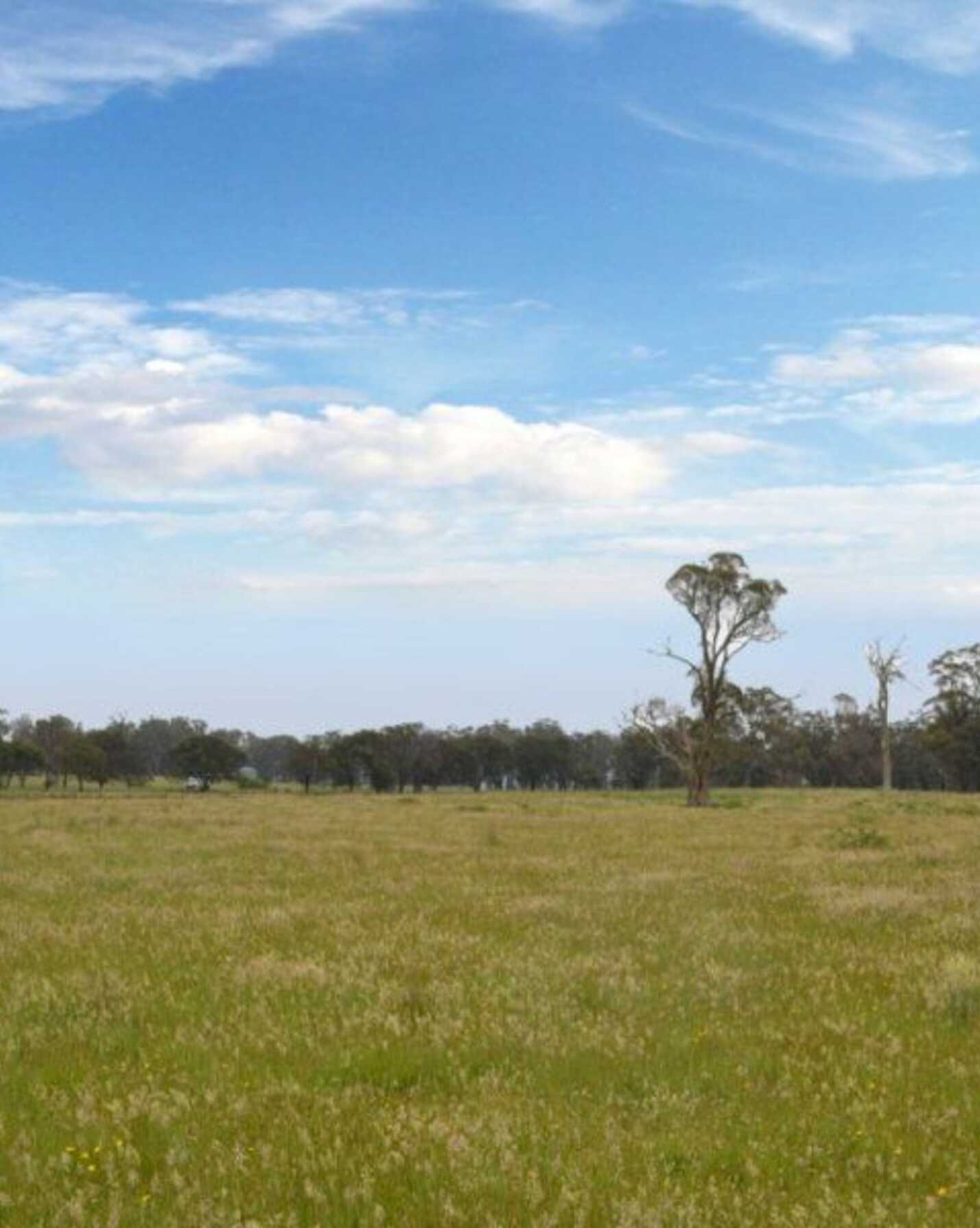 Lot 3 Glenleigh Farmold Argyle Road Exeter, Exeter - Image 1