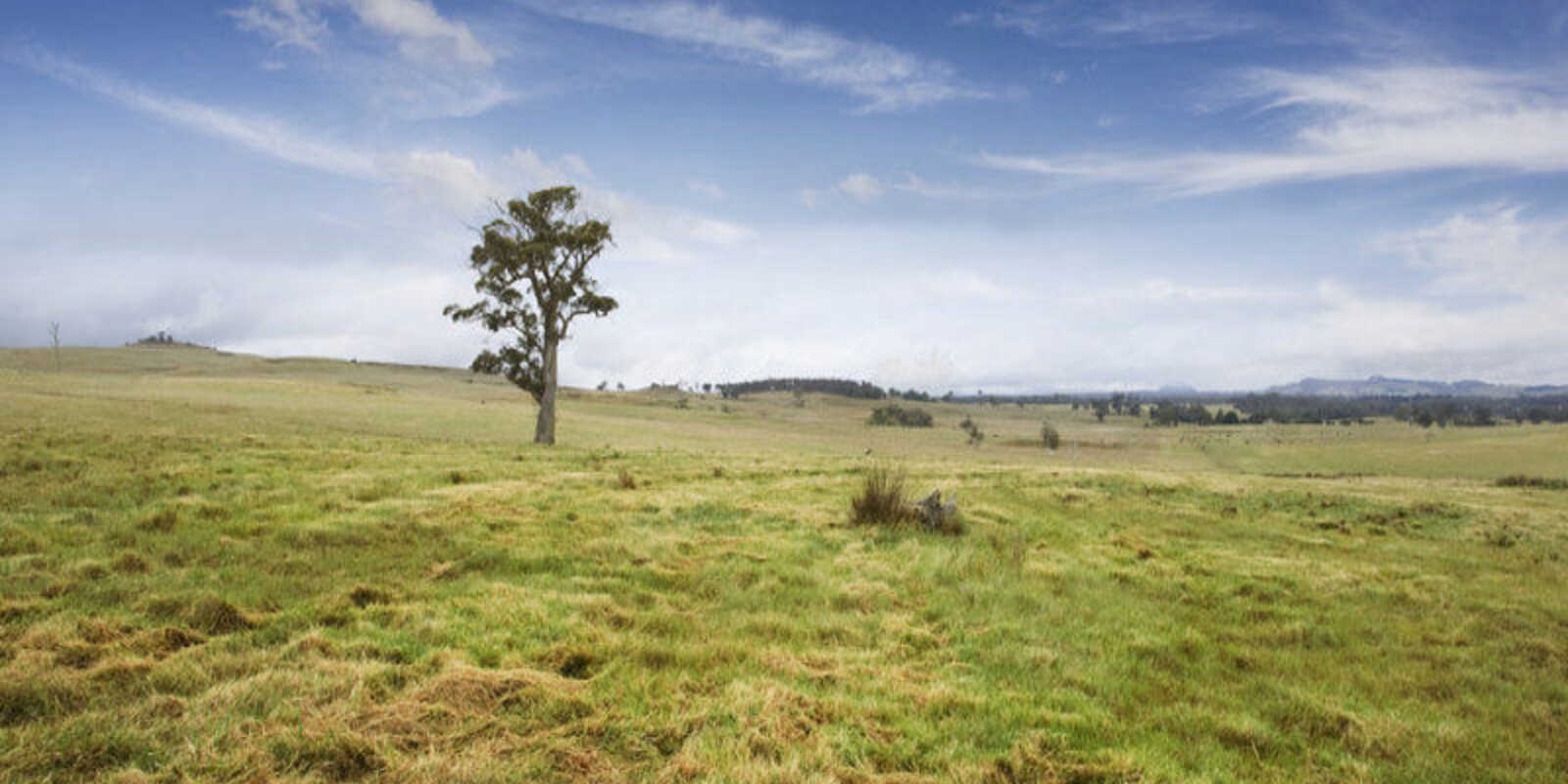 Lot 9 'Wanganderry North High Range Lot 9 'Wanganderry North High Range