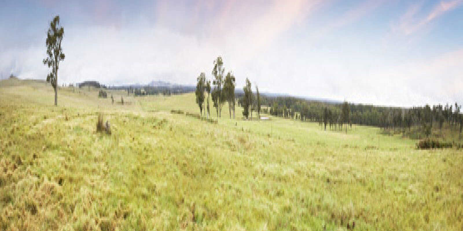 Lot 9 'Wanganderry North High Range Lot 9 'Wanganderry North High Range