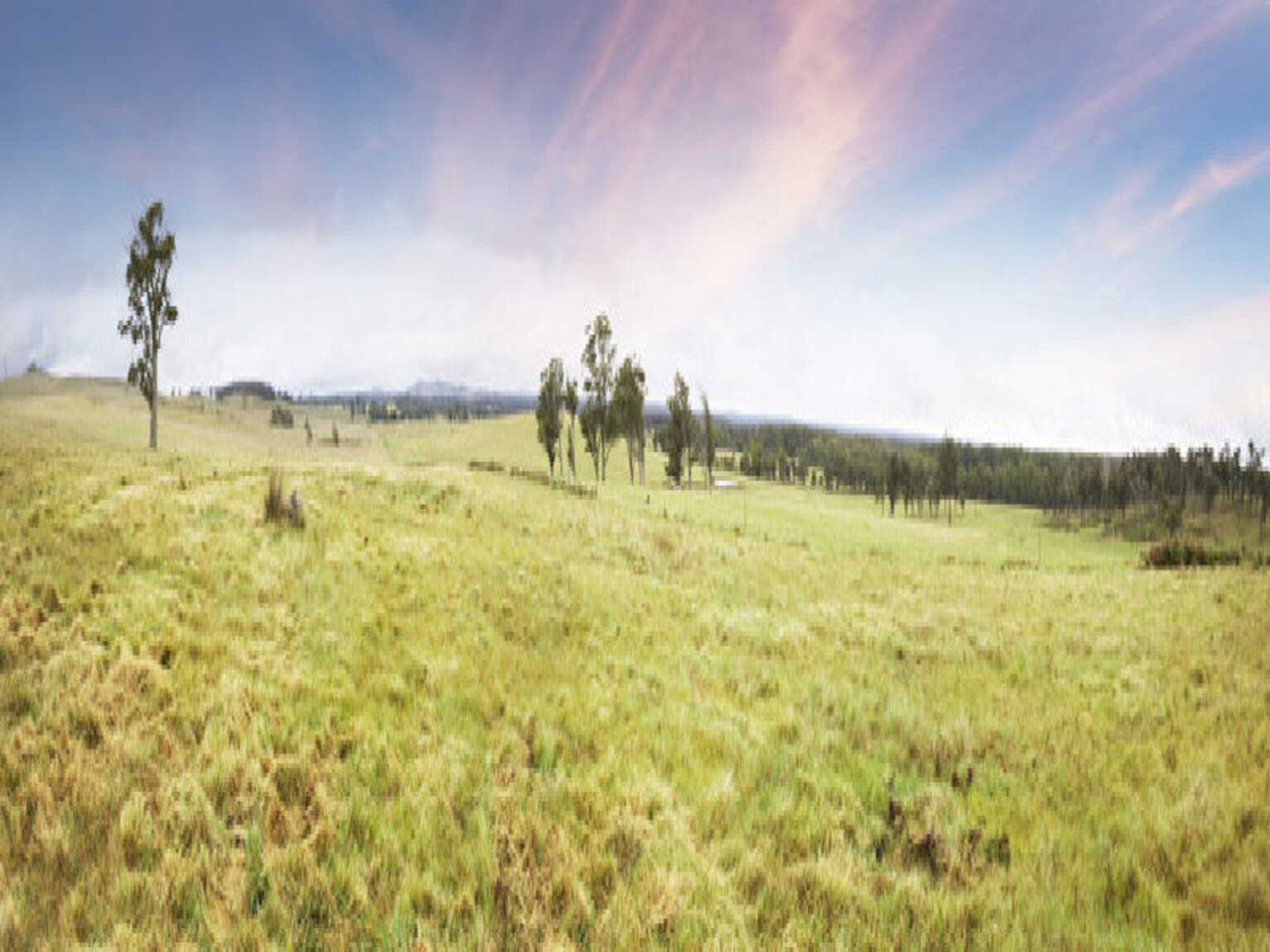 Lot 9 'Wanganderry North High Range Lot 9 'Wanganderry North High Range
