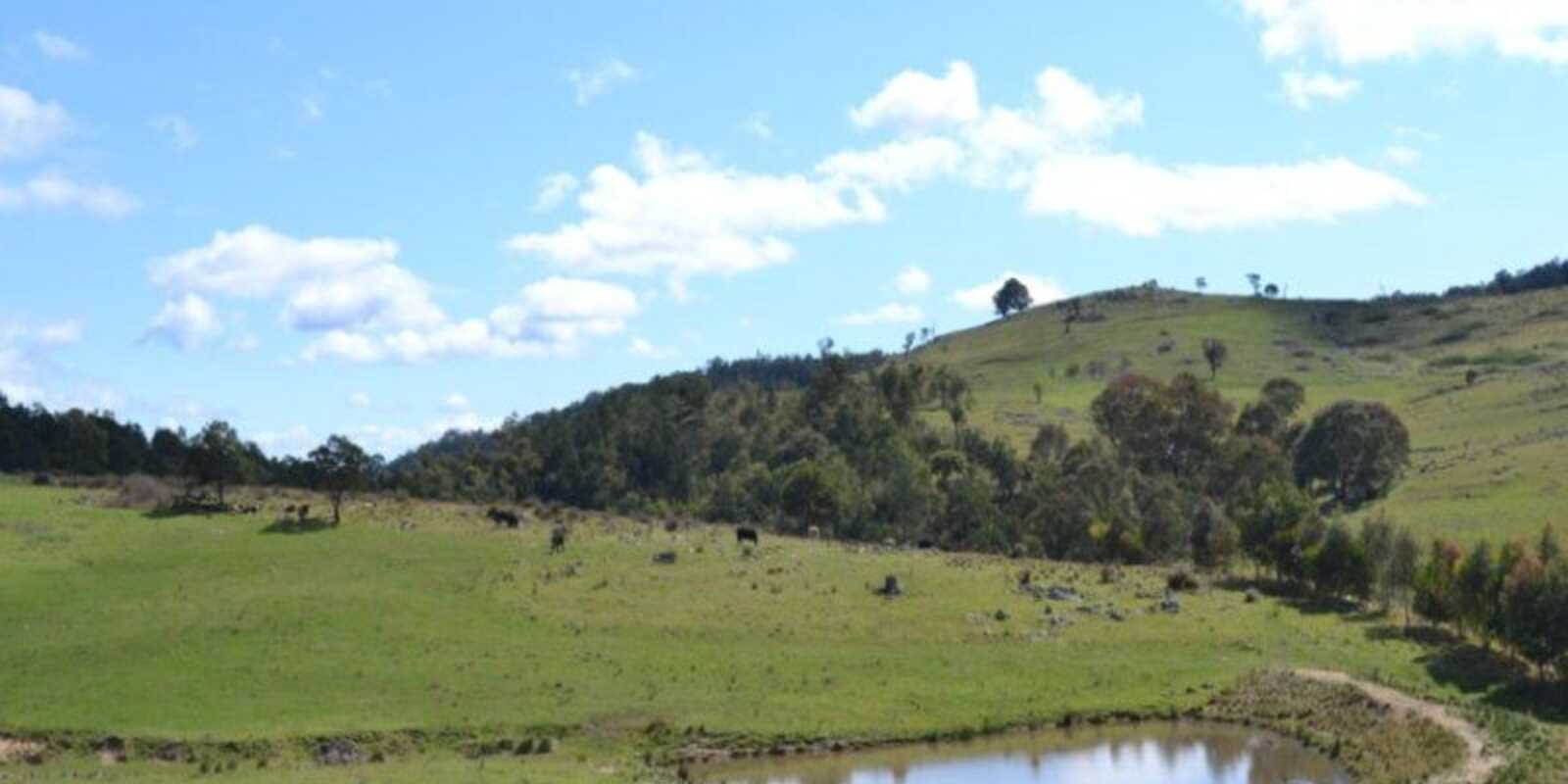 Wombeyan Caves Road Bullio Wombeyan Caves Road Bullio