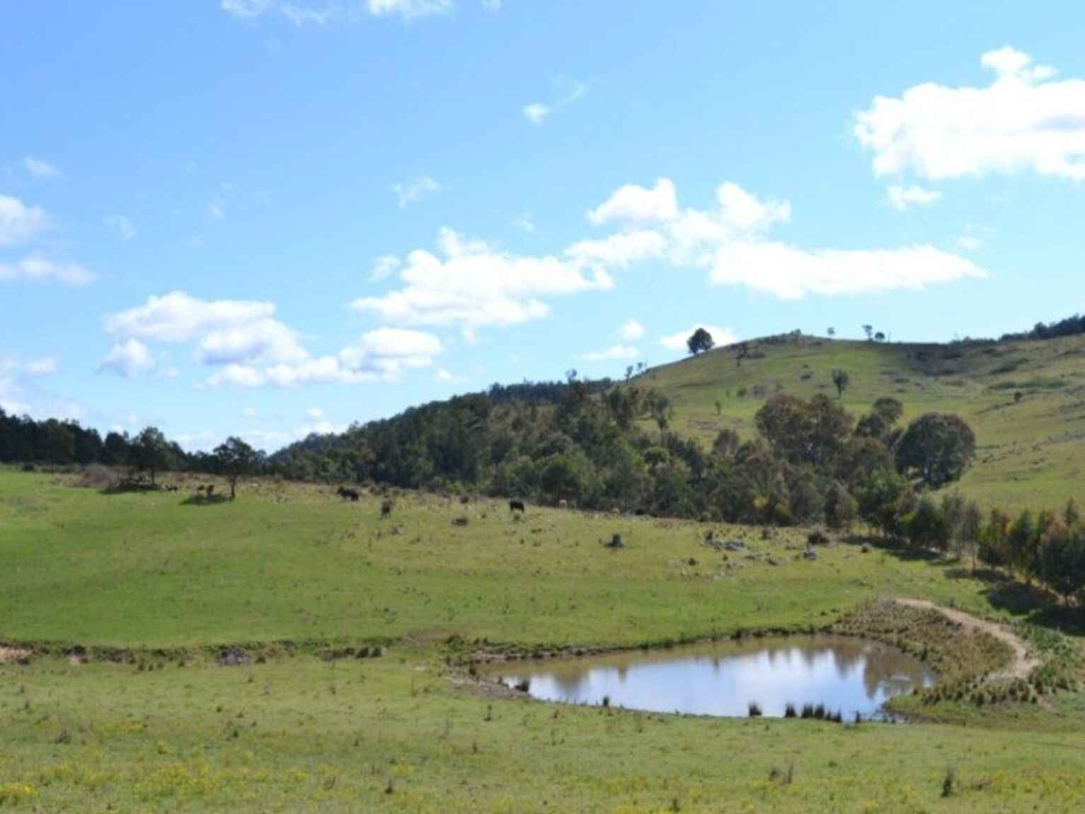 Wombeyan Caves Road Bullio Wombeyan Caves Road Bullio