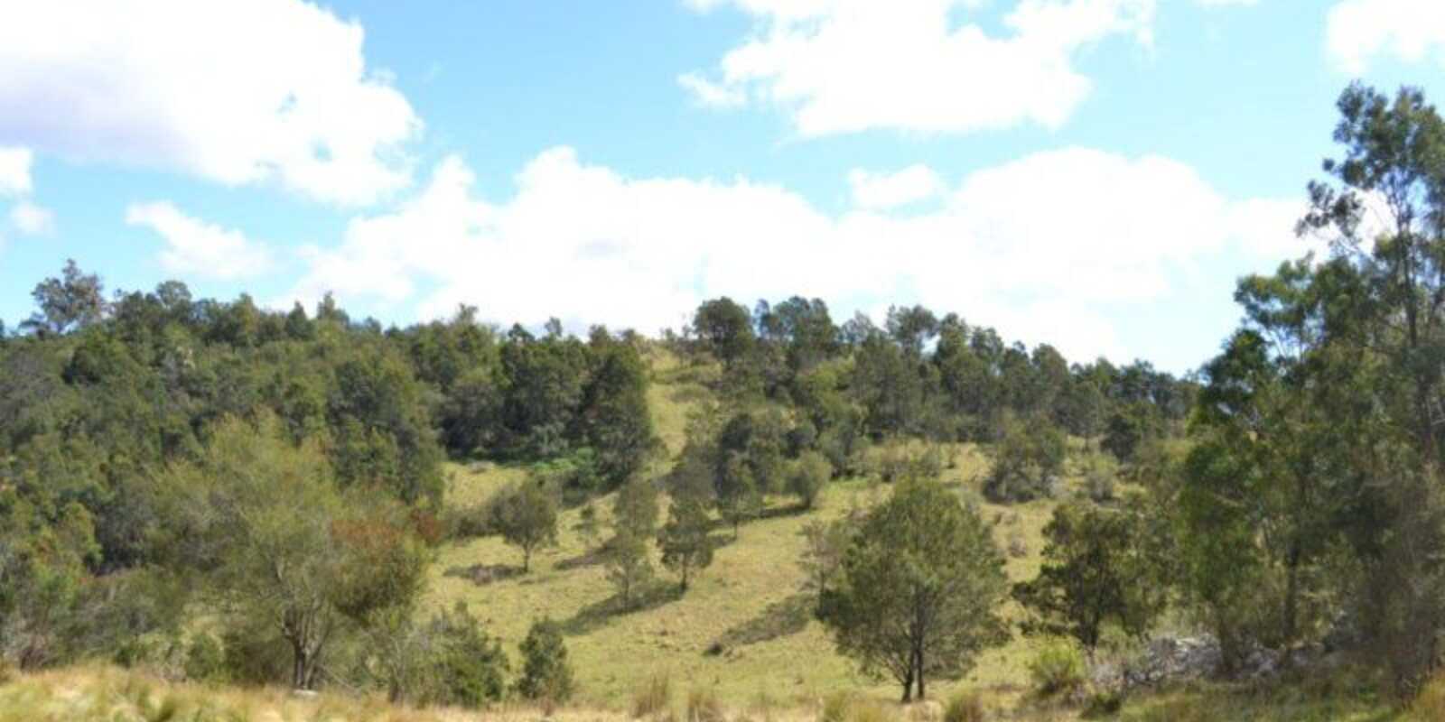 Wombeyan Caves Road Bullio Wombeyan Caves Road Bullio