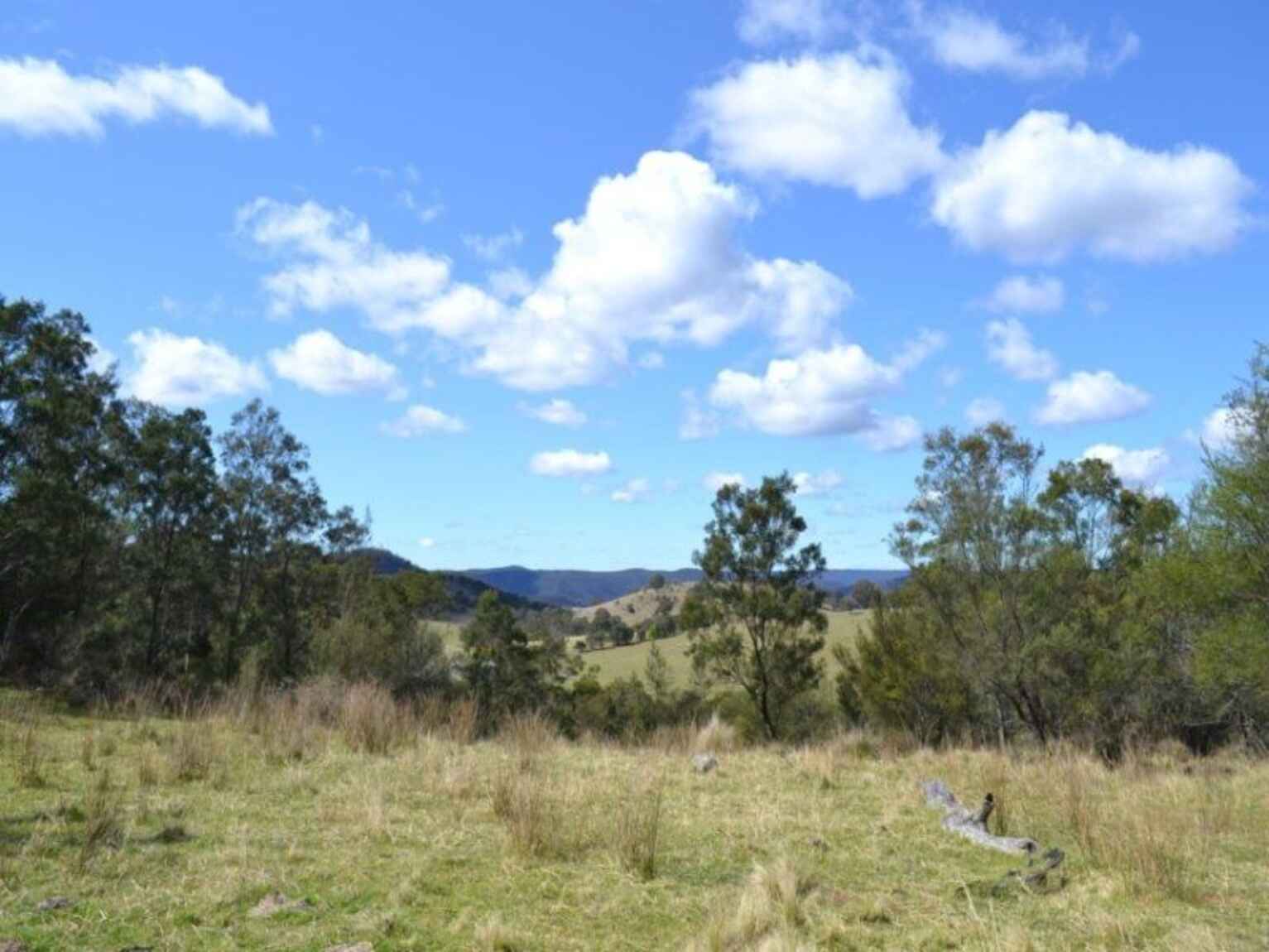 Wombeyan Caves Road Bullio Wombeyan Caves Road Bullio