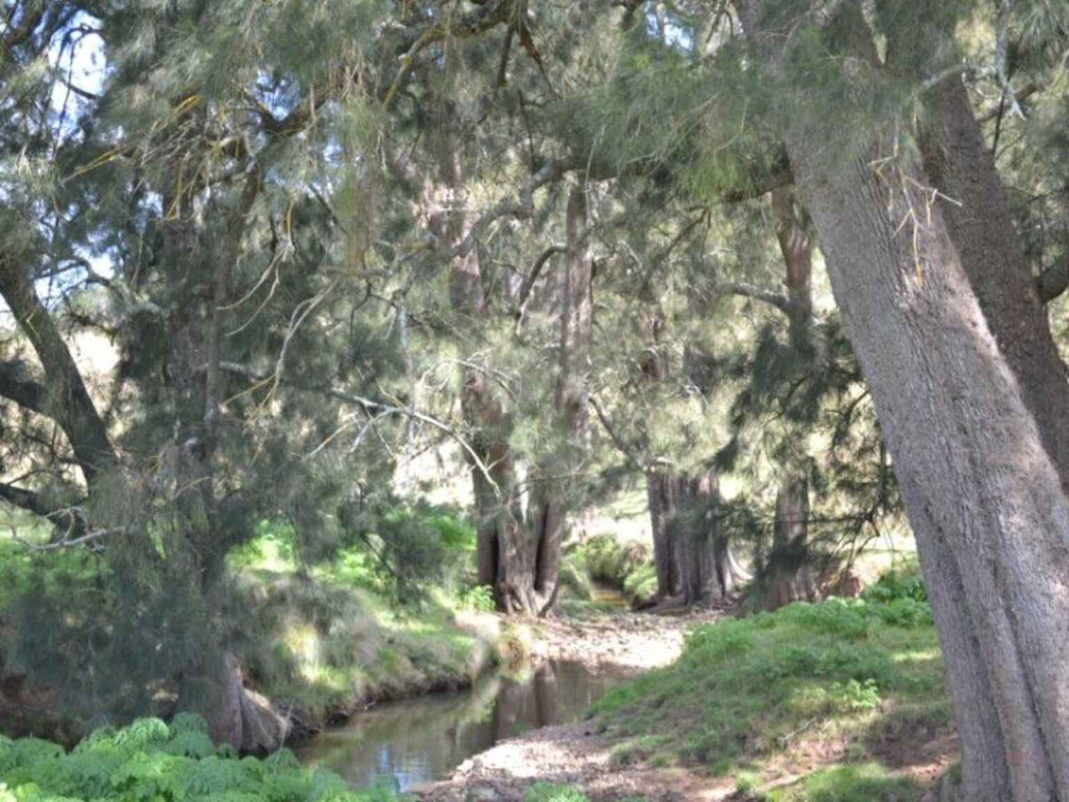 Wombeyan Caves Road Bullio Wombeyan Caves Road Bullio