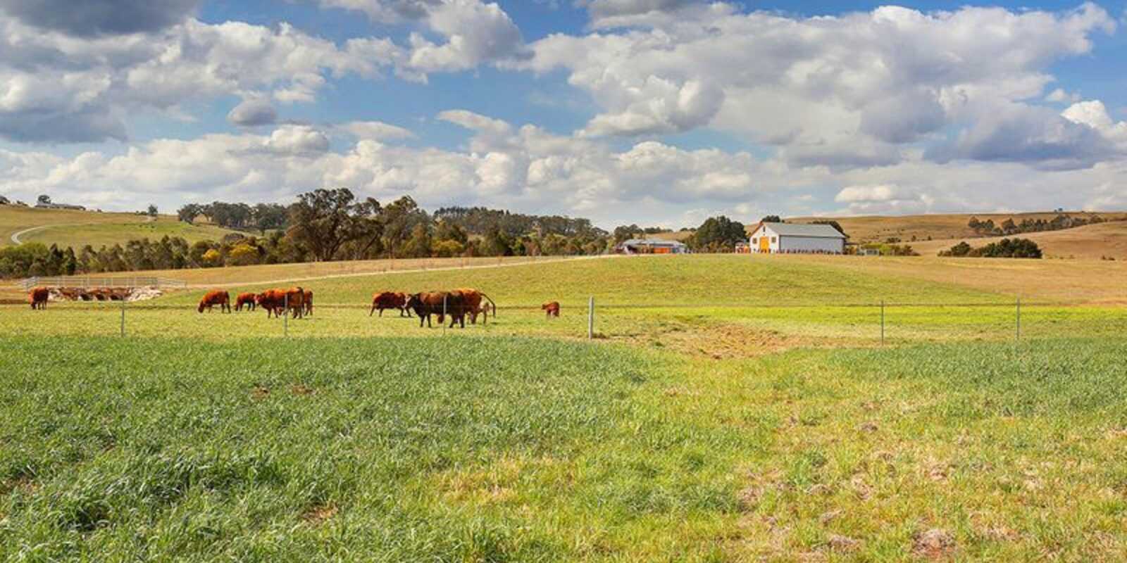 Berrima Berrima