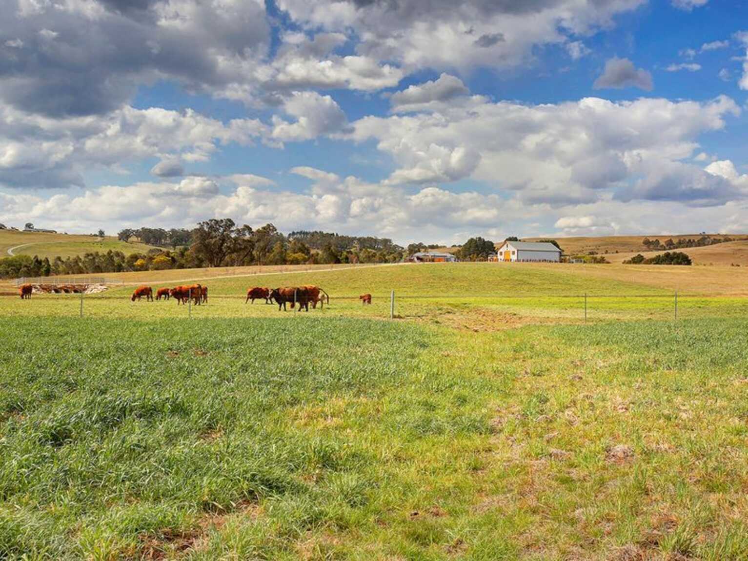 Berrima Berrima