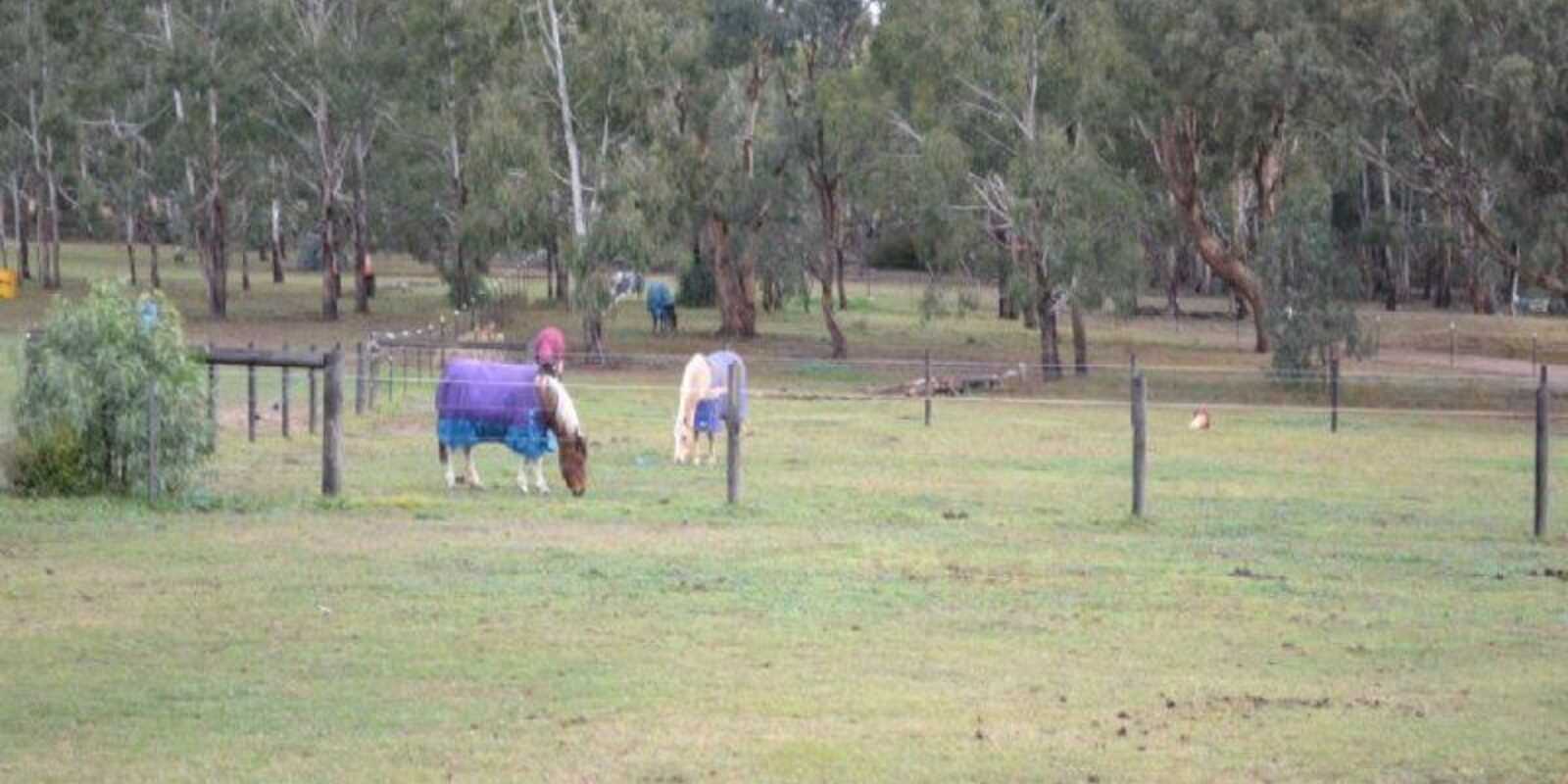 Lot 112 Bedford Street Bungonia Lot 112 Bedford Street Bungonia