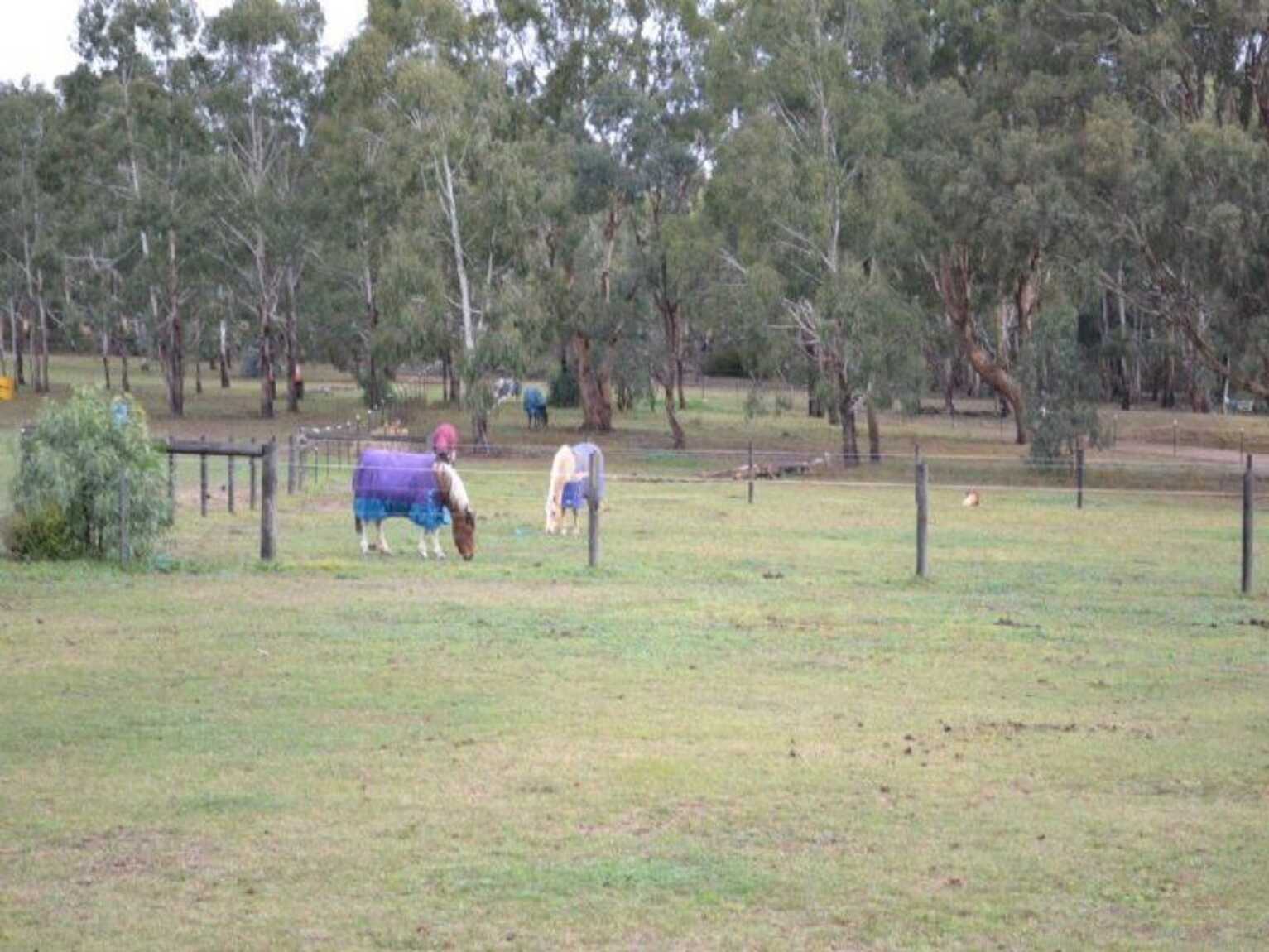 Lot 112 Bedford Street Bungonia Lot 112 Bedford Street Bungonia