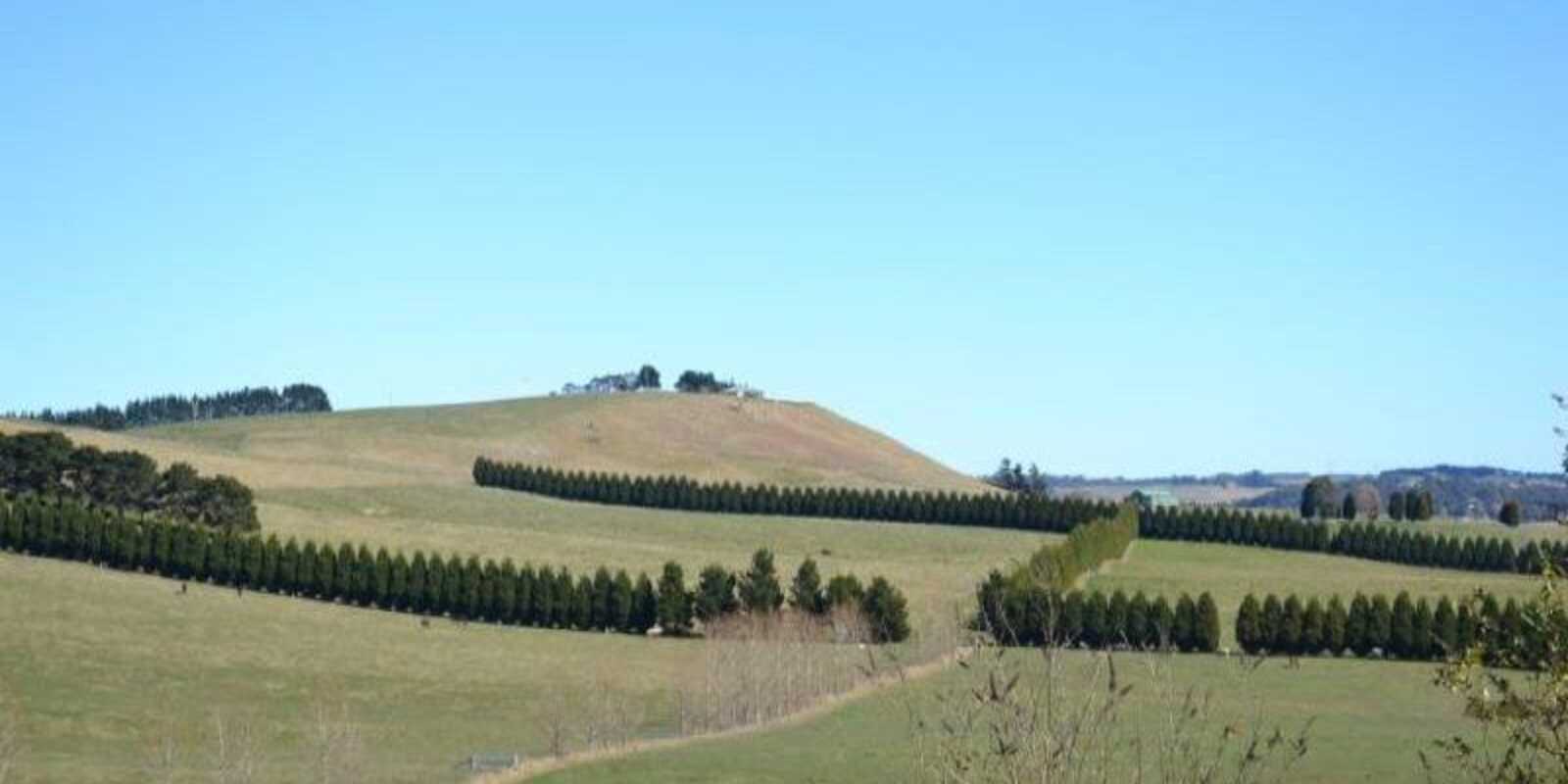 90 Yarrawa Road Moss Vale 90 Yarrawa Road Moss Vale