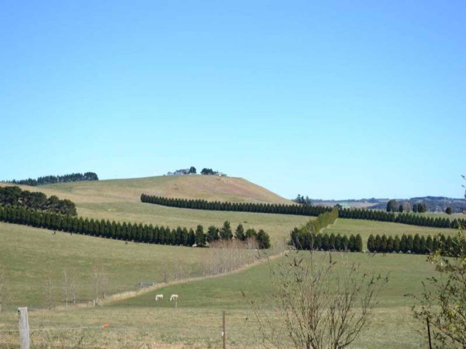 90 Yarrawa Road Moss Vale 90 Yarrawa Road Moss Vale